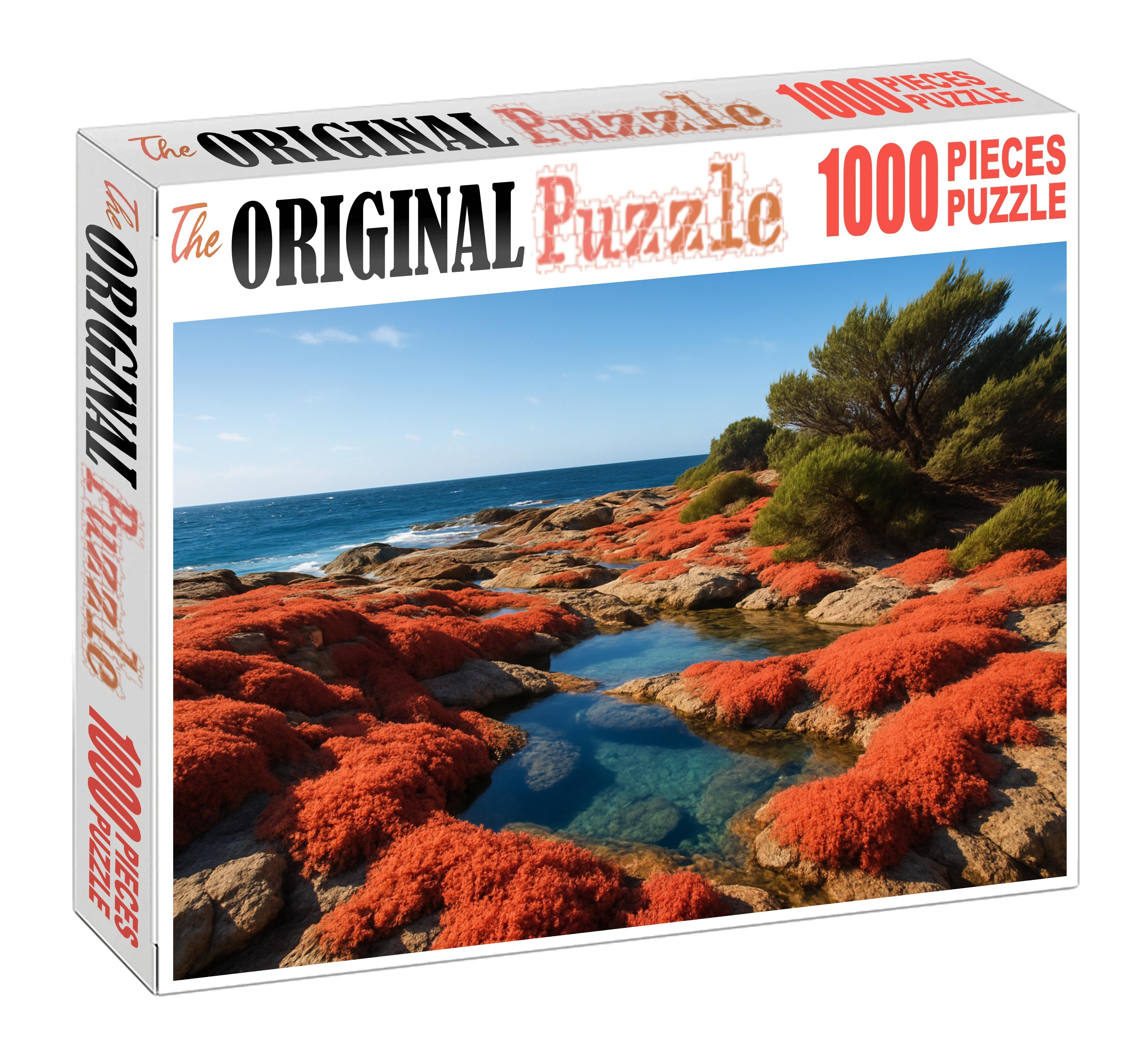 Coral Cove Tides Puzzle Challenge