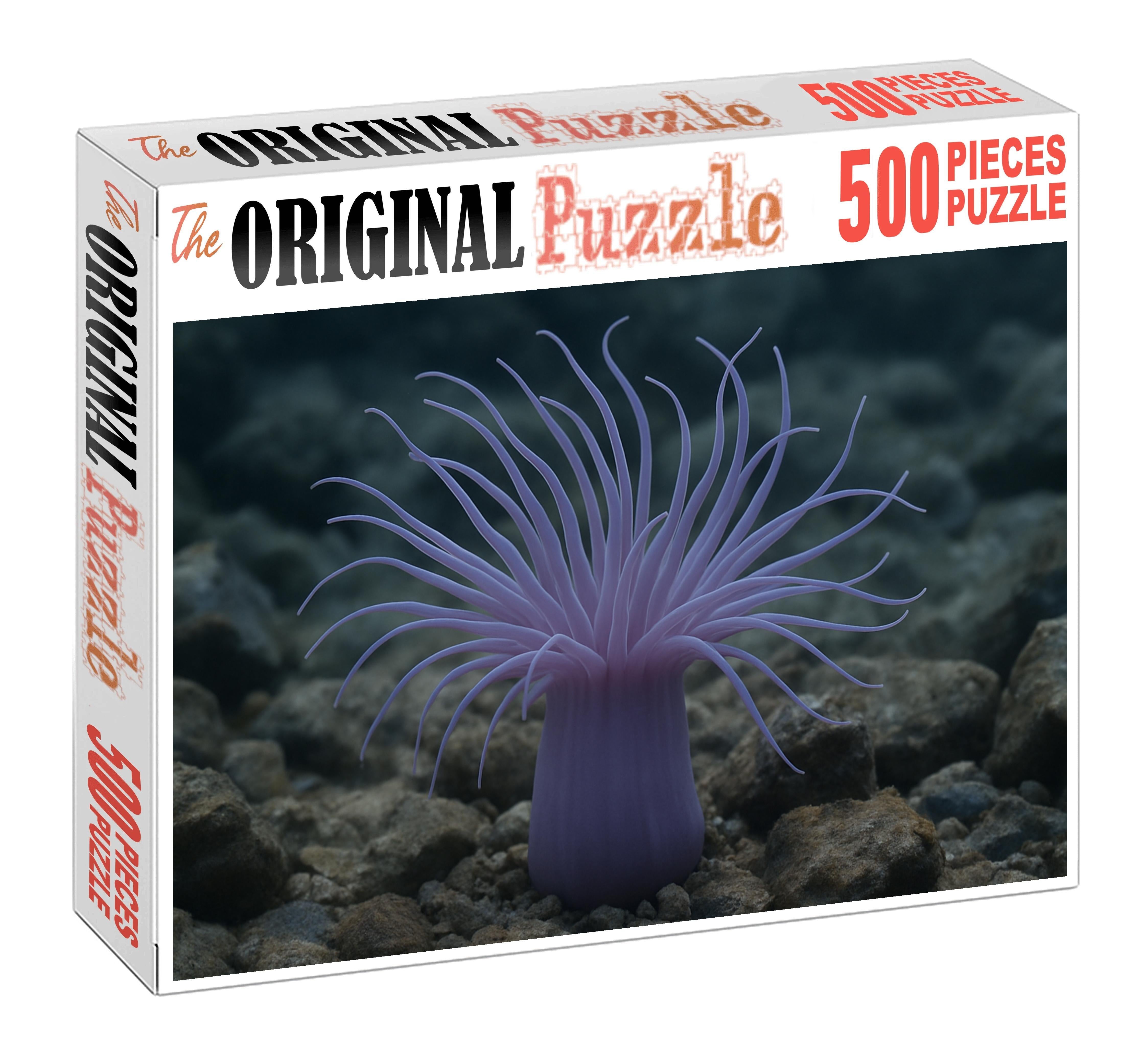 Lavender Sea Anemone Tentacled Predatory Polyp Family Puzzles
