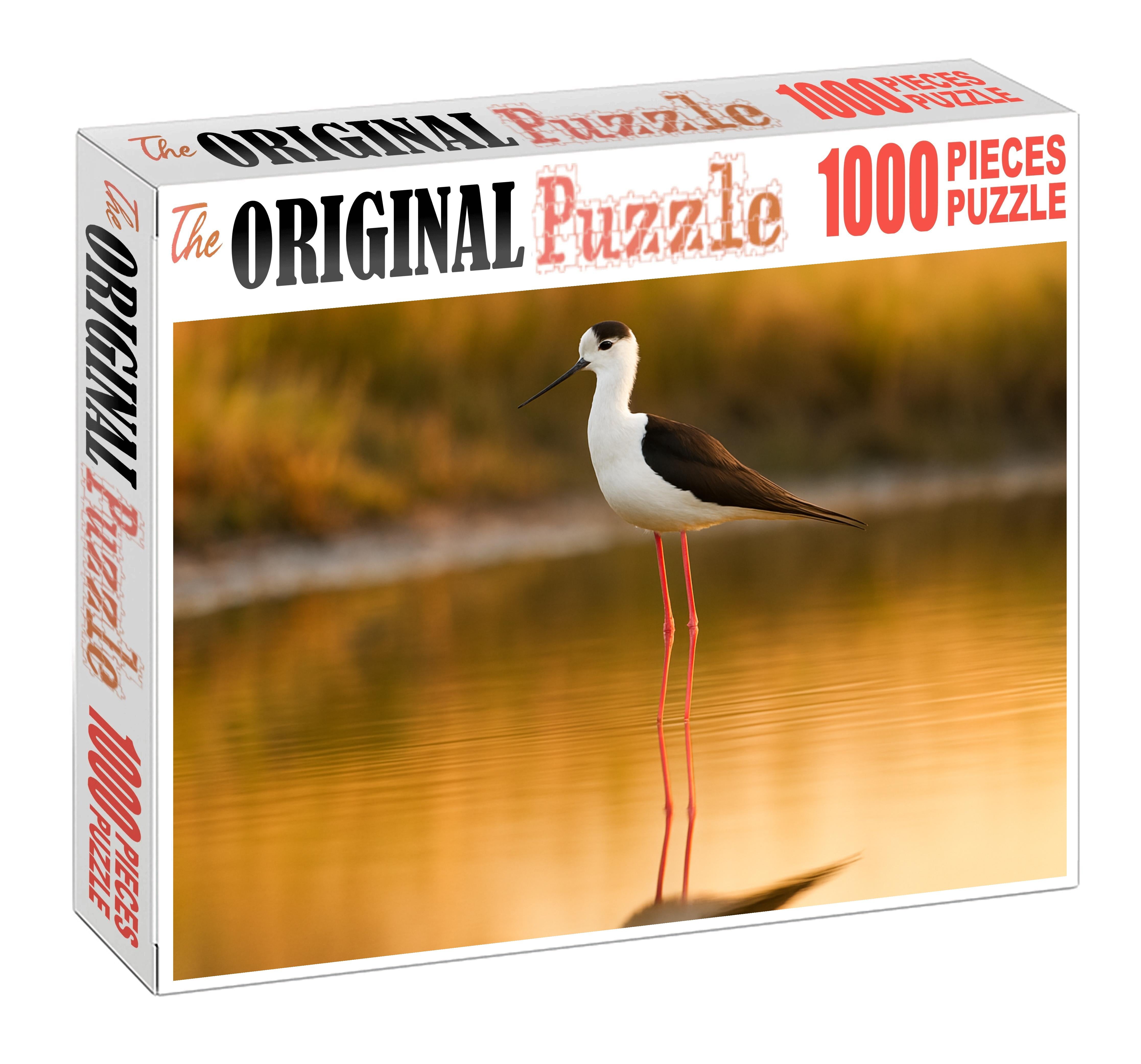 Black-winged Stilt Elegant Long-legged Wader Family Puzzles