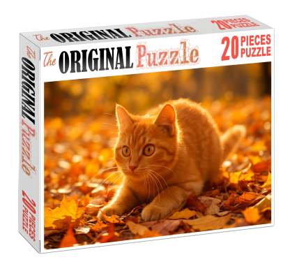 Golden Glimmer Shimmering Yellow-orange Shorthair With Playful Heart Challenging Puzzles