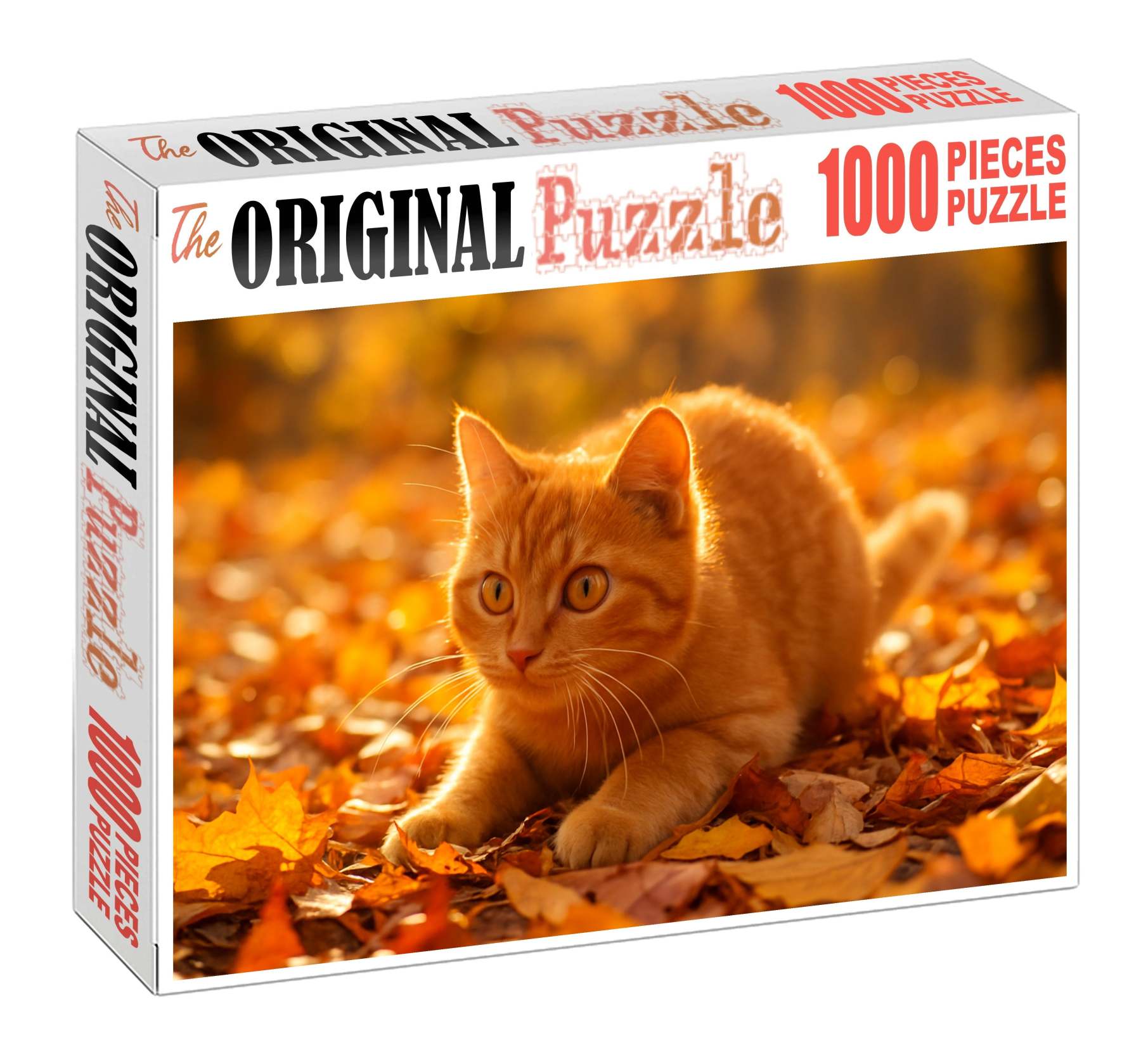Golden Glimmer Shimmering Yellow-orange Shorthair With Playful Heart Challenging Puzzles