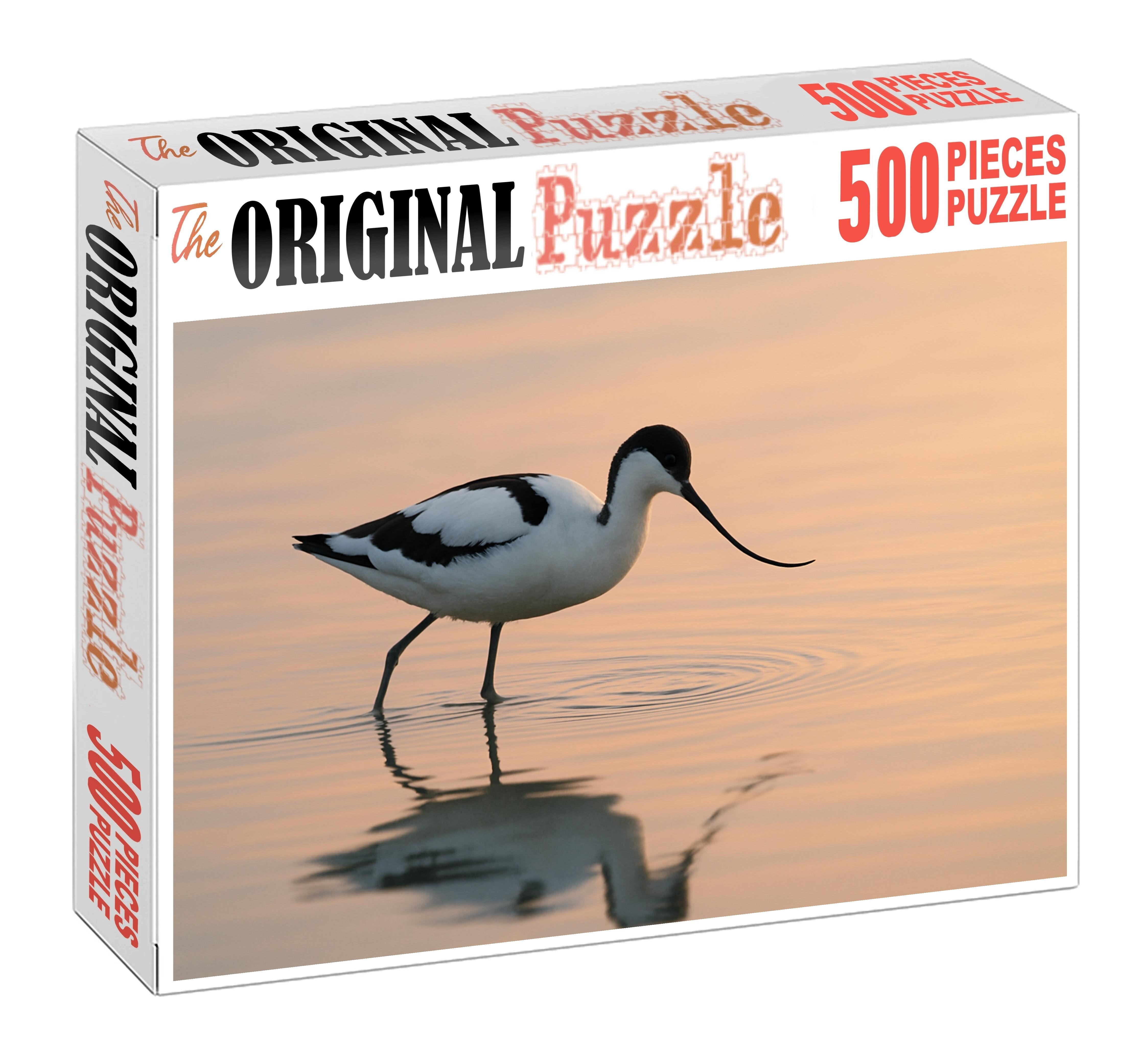 Pied Avocet Graceful Wader Of Shallow Waters Family Puzzles
