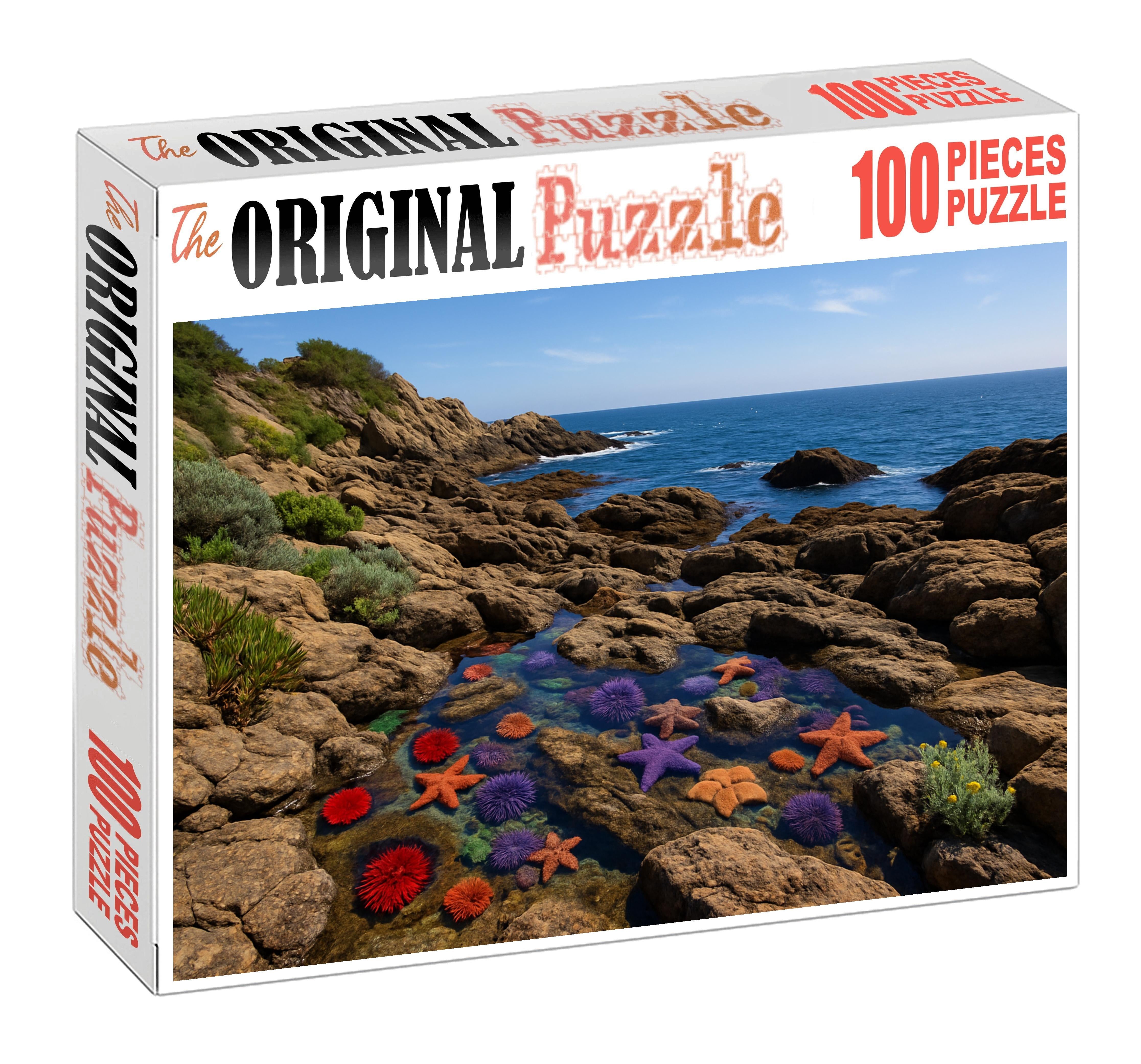 Tidepool Headland Walk 300 Piece Puzzle