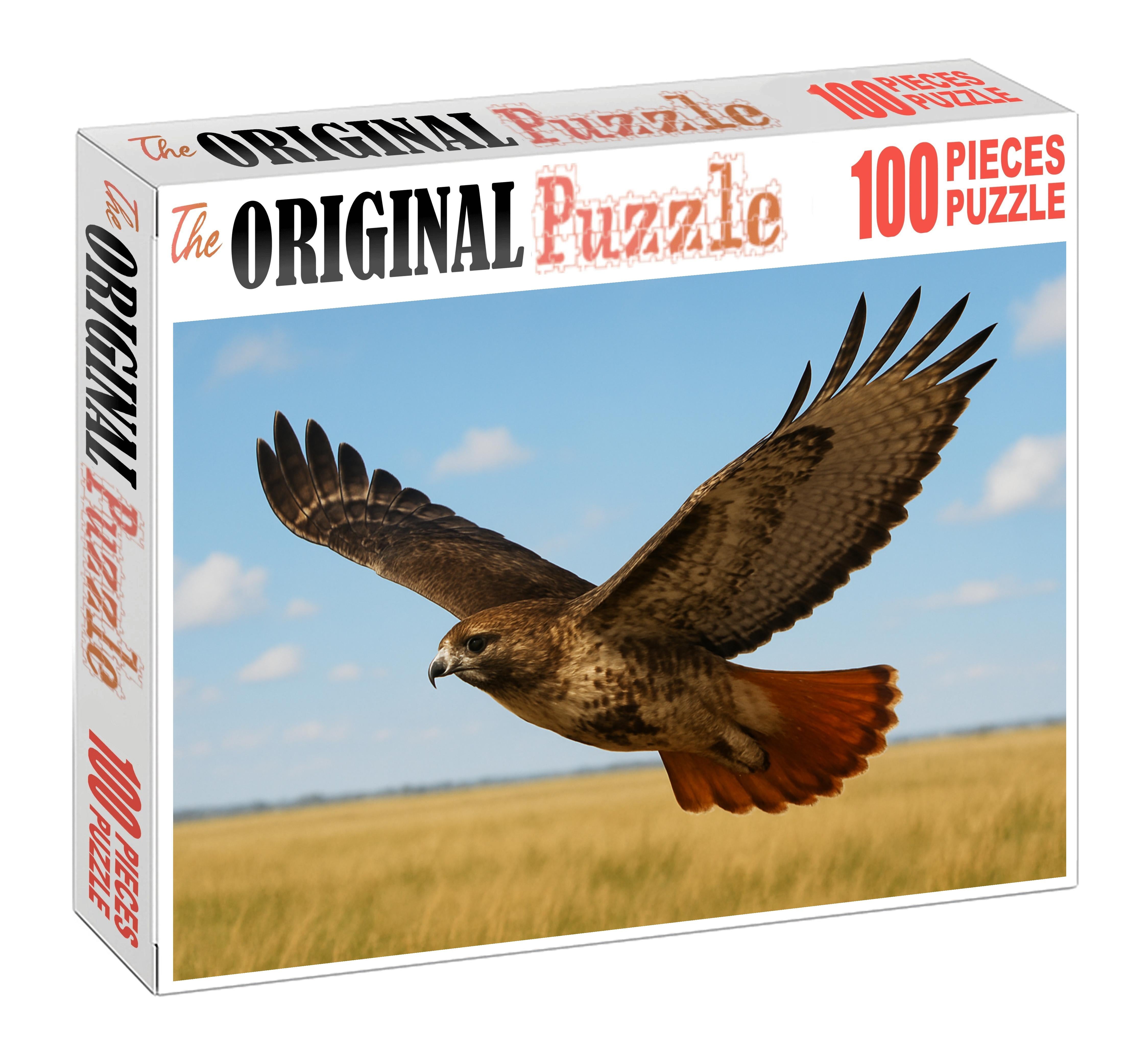 Red-tailed Hawk Soaring Raptor Large Format Puzzle