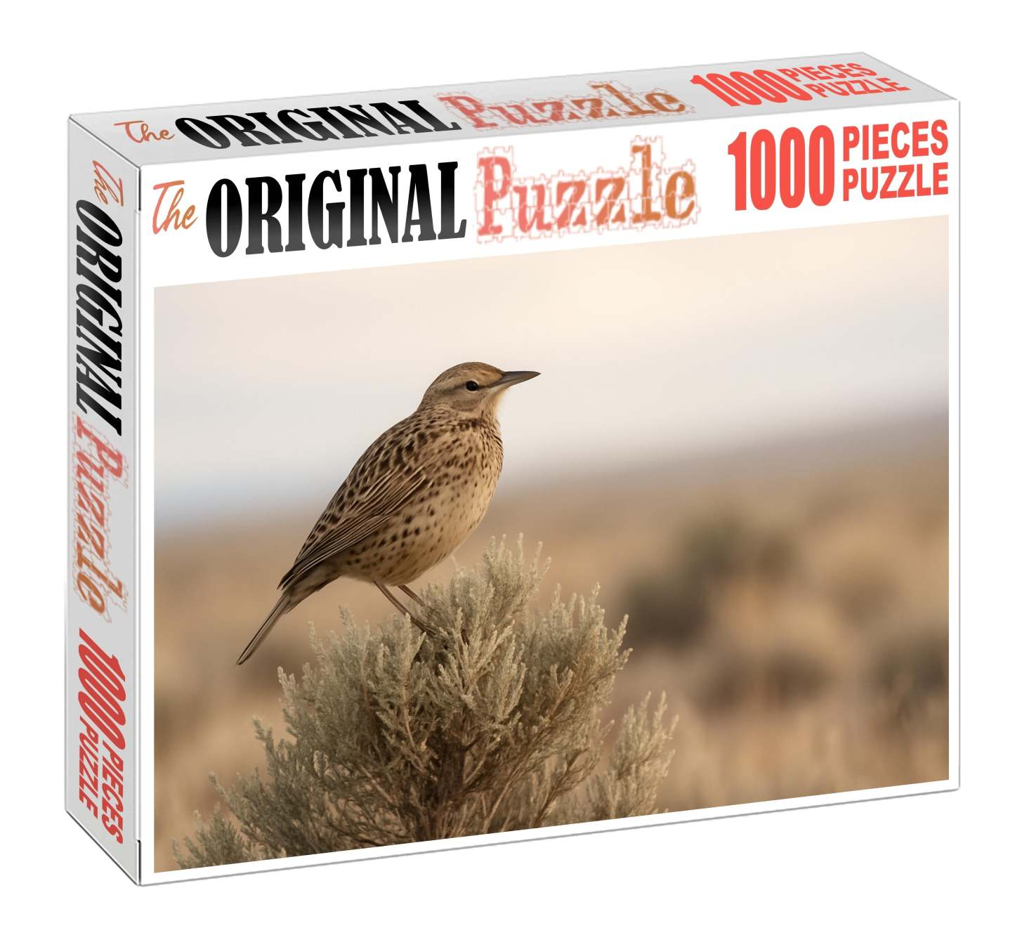 Sage Thrasher The Desert Song Specialist Puzzle Challenge