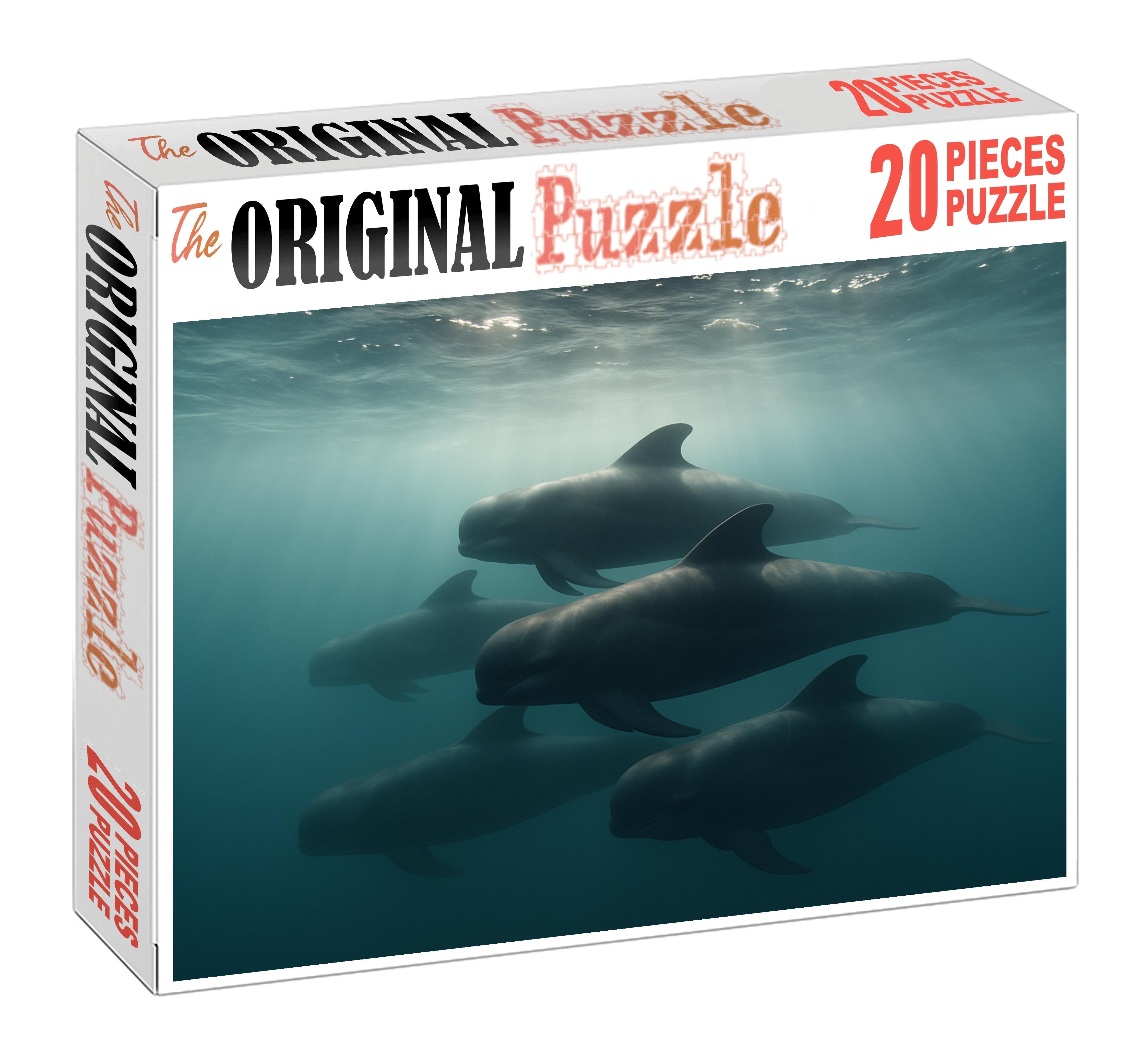 Slateback Pilot Whale Sleek Social Marine Mammal With Distinctive Dorsal Marking Puzzle Fun