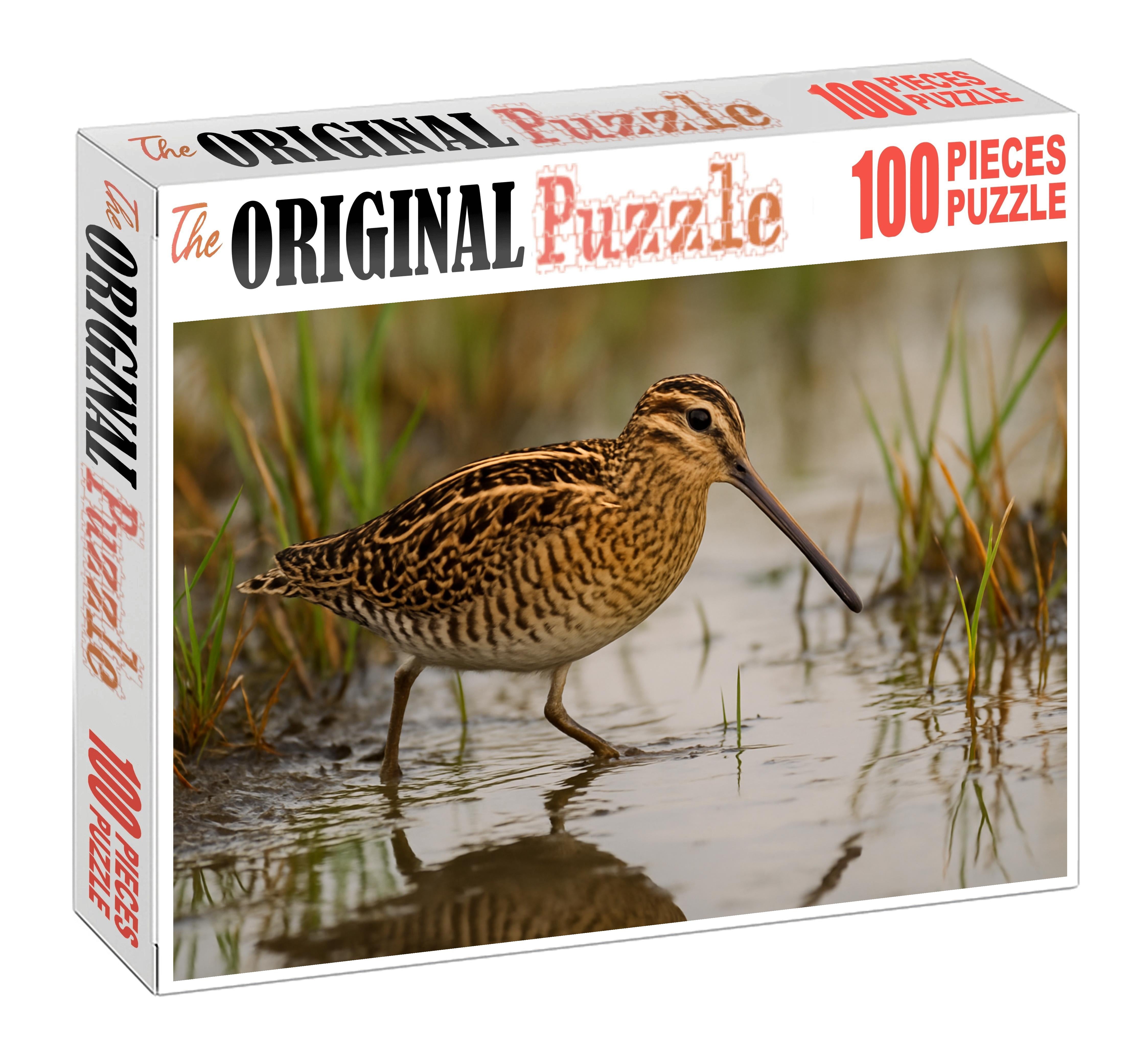 Greater Painted-snipe Marshland Cryptic Stalker Challenging Puzzles