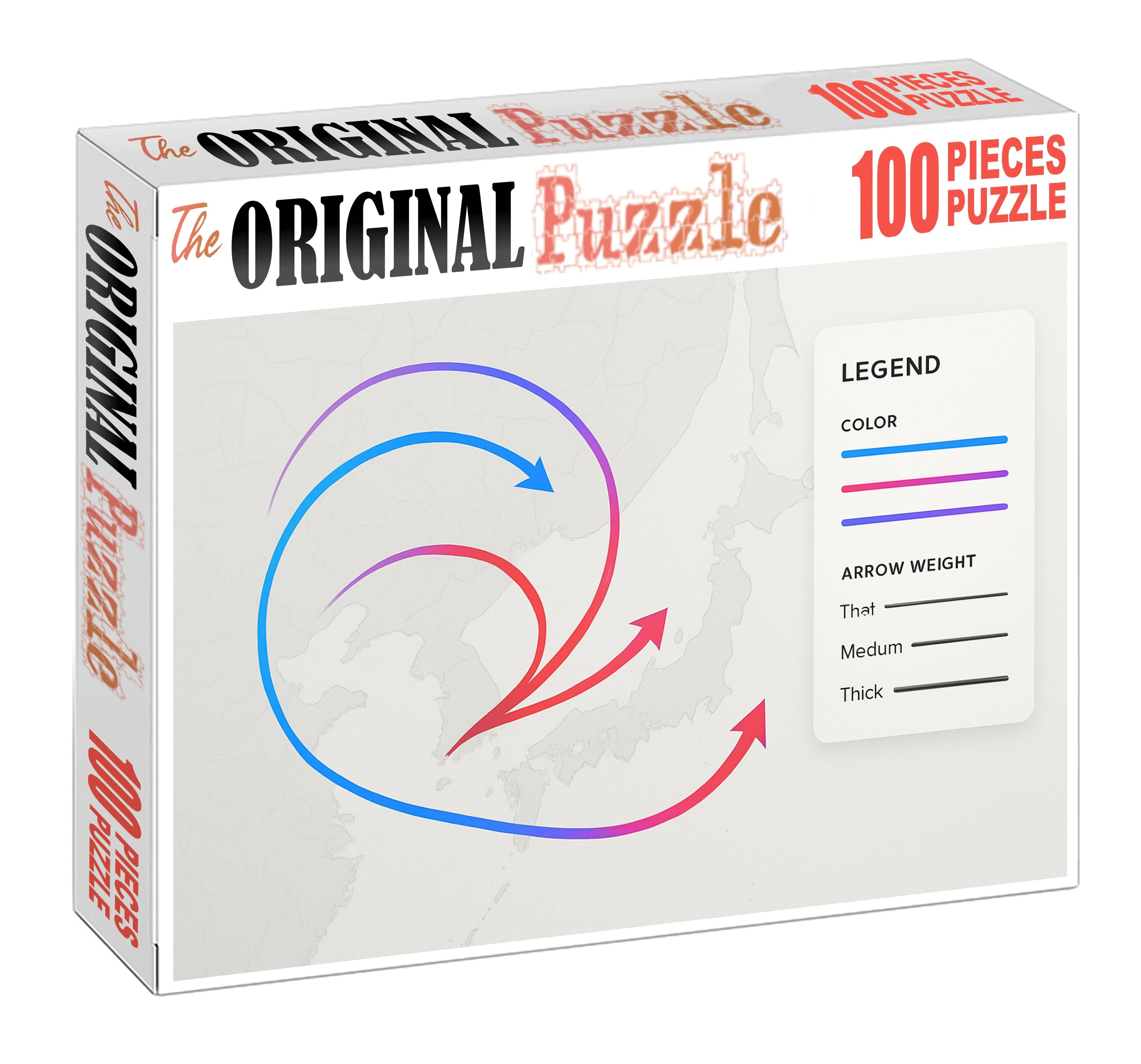 Population Mobility Flow Map Large Format Puzzle