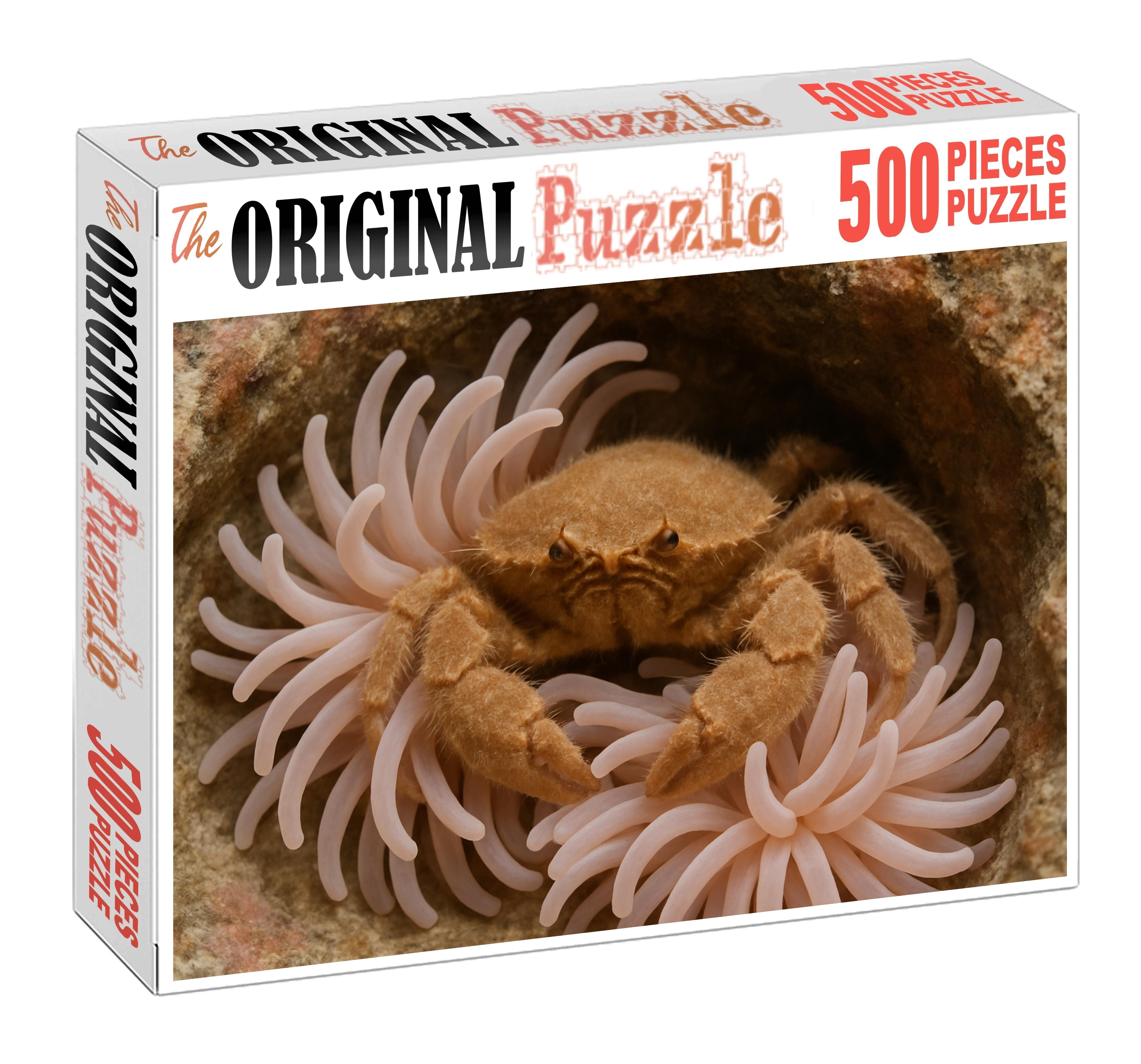 Velvet Spiny Anemone Crab Camouflaged Coral Dweller With Fine Tactile Appendages Puzzle Collection