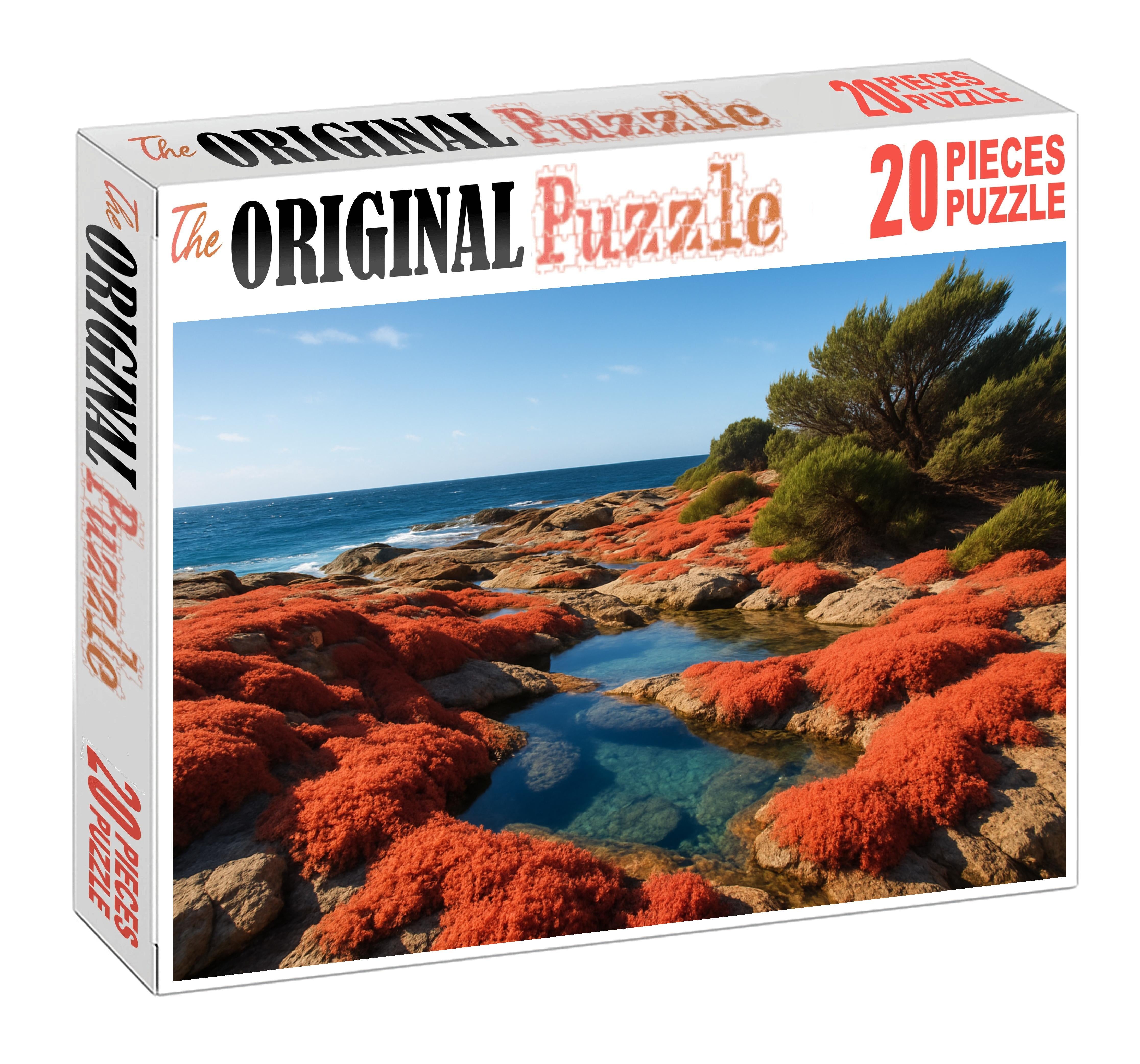 Coral Cove Tides Puzzle Challenge