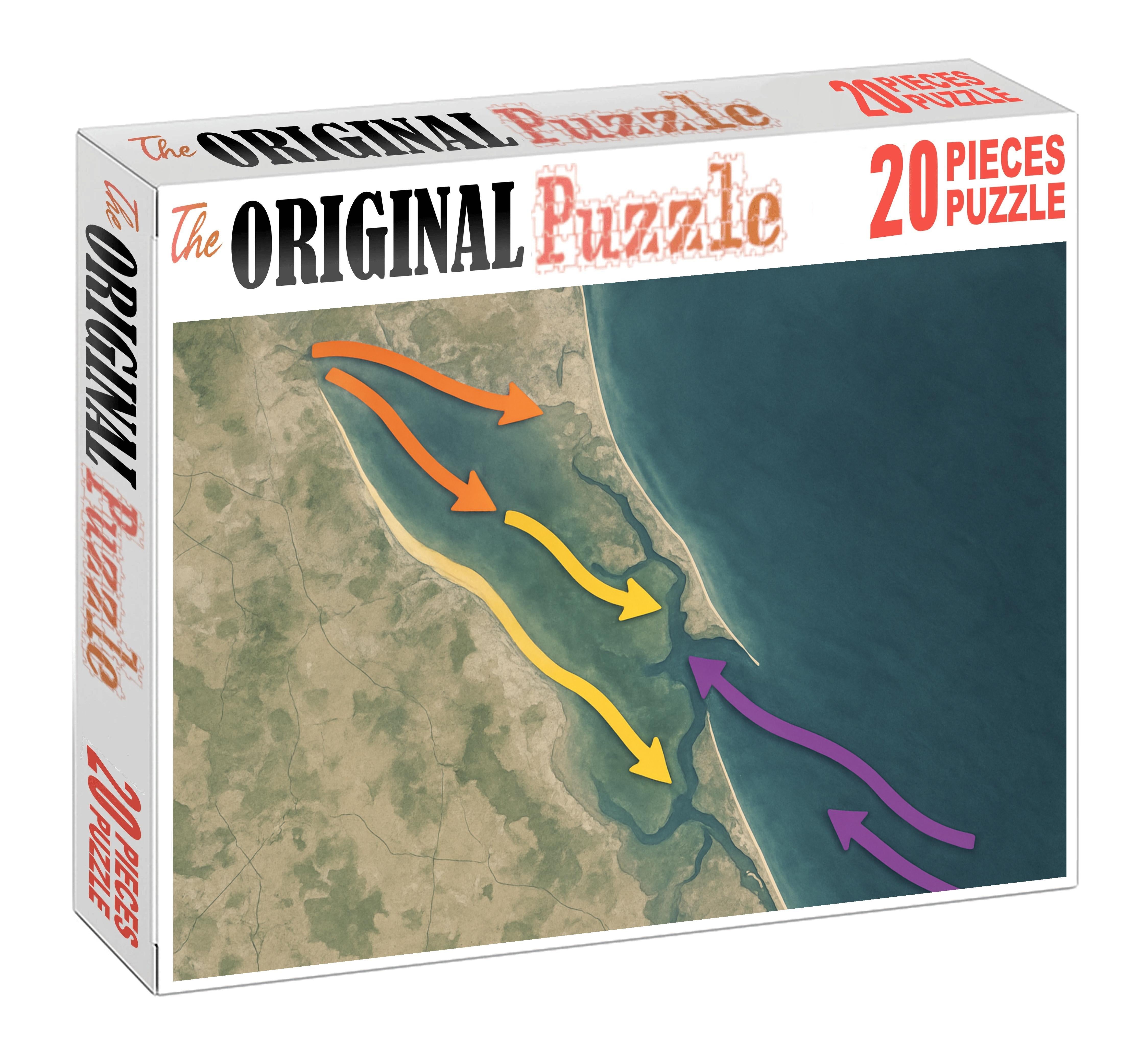 Coastal Sediment Transport Flow Puzzle Collection