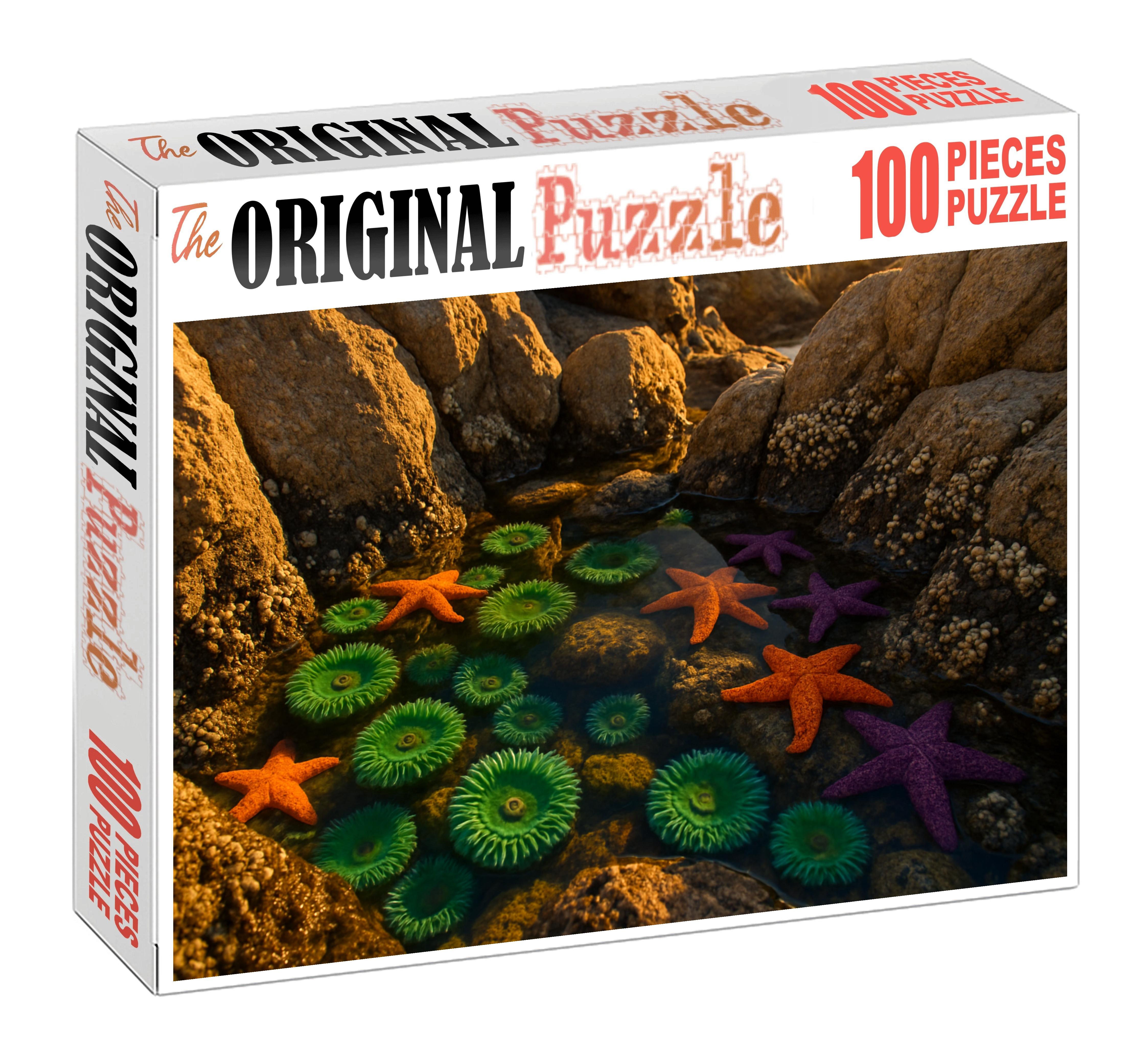 Tidal Granite Pools Rocky Basins Vibrant With Intertidal Life Premium Puzzle Pieces