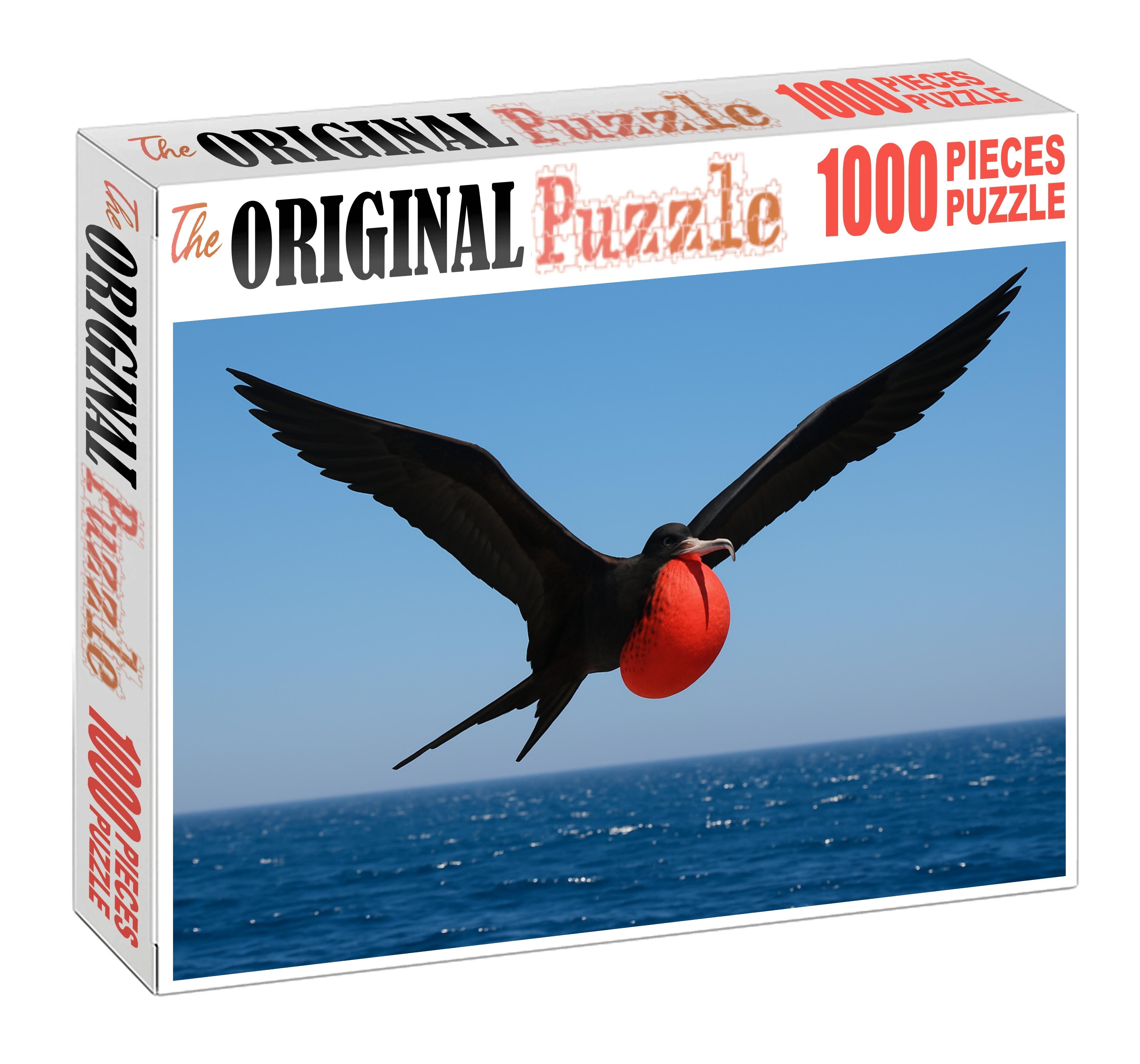 Magnificent Frigatebird Master Of The Coastal Skies Puzzle Challenge