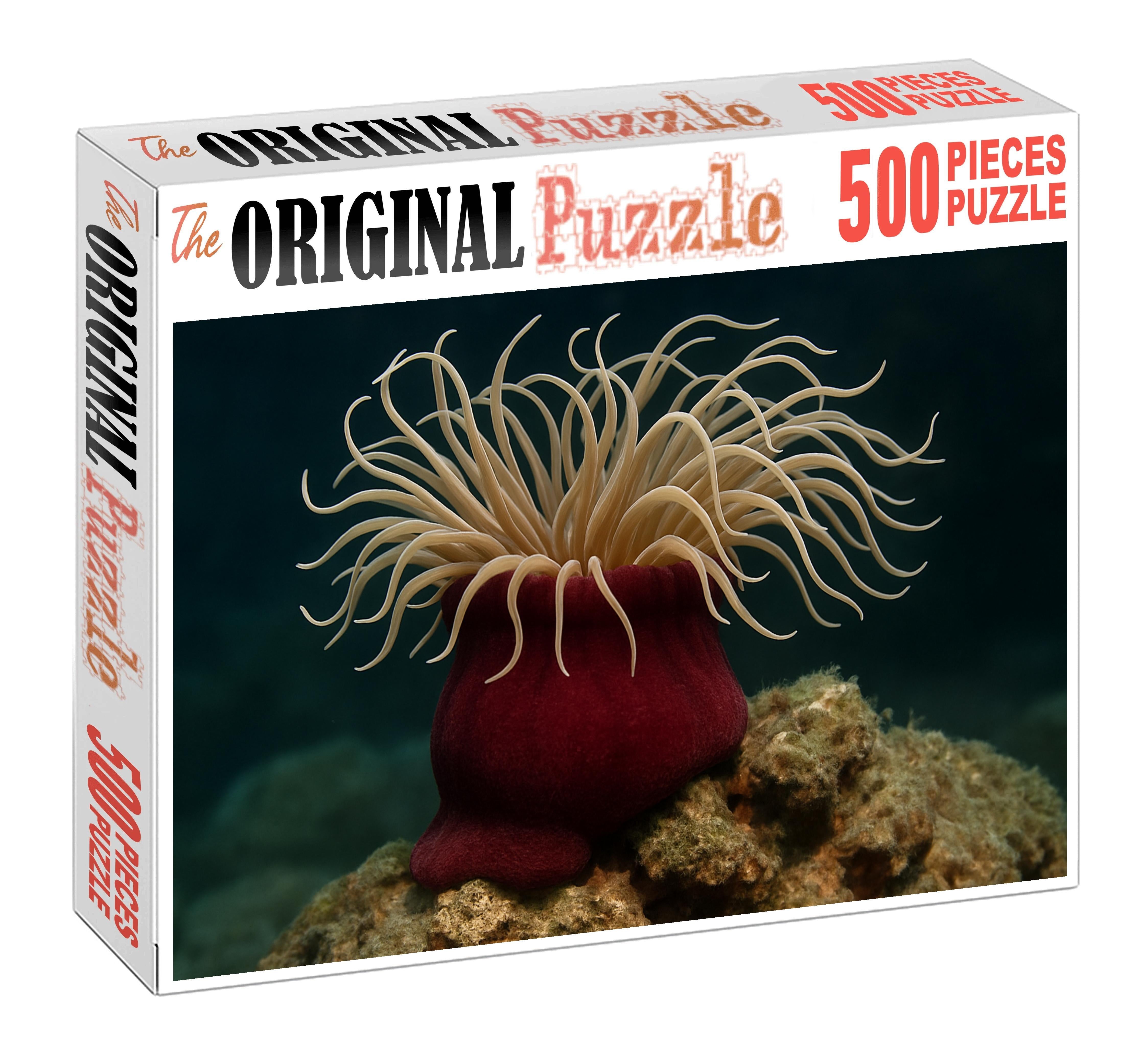 Velvet Sea Anemone Sedentary Predator With Swirling Tentacles Challenging Puzzles