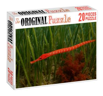 Crimson Pipefish Slender Ambush Predator With Bright Coloring Mini Puzzle