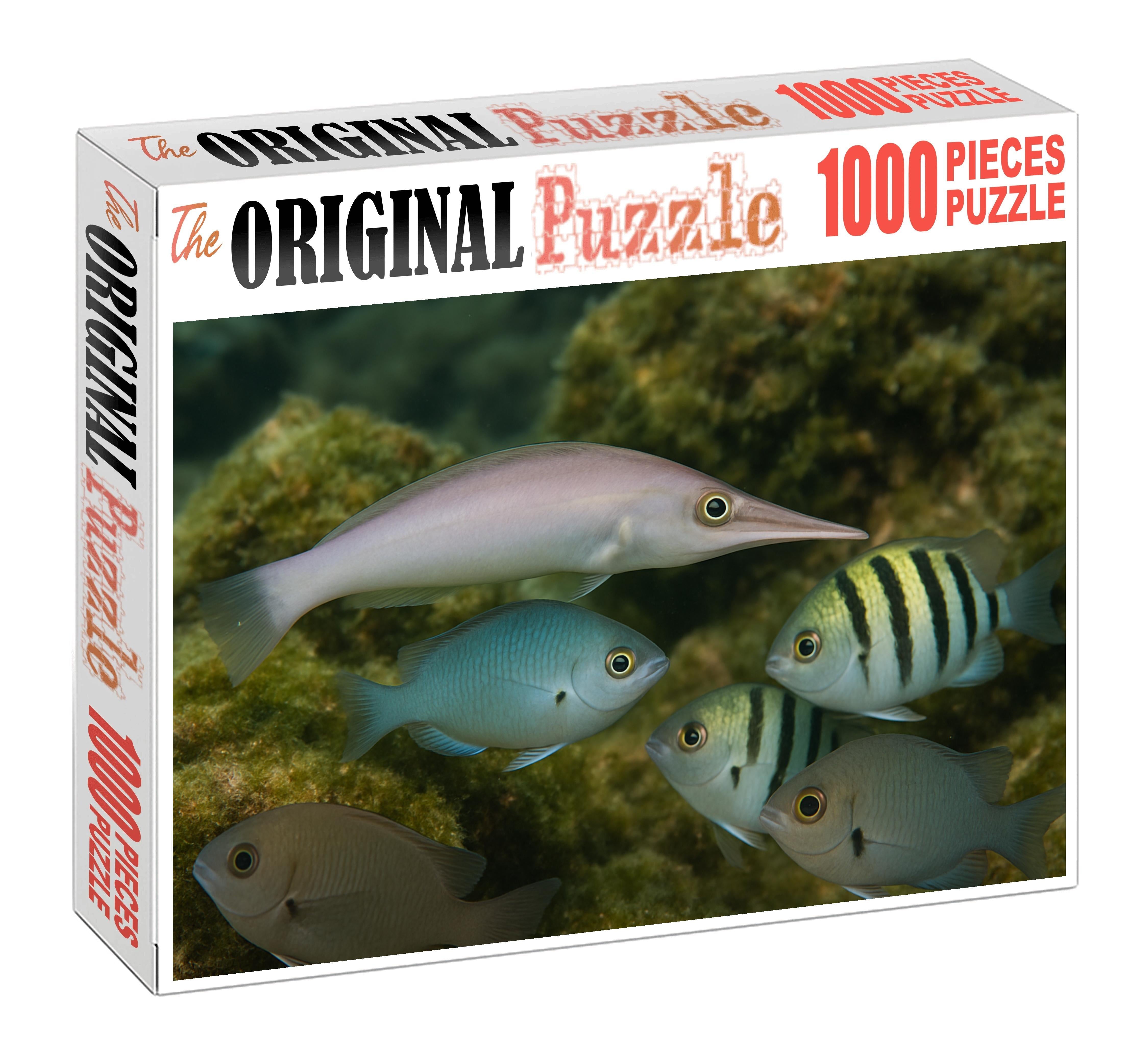 Ivory Snout Wrasse Elegant Cleaner With Tapered Profile And Striking Snout Puzzle Collection