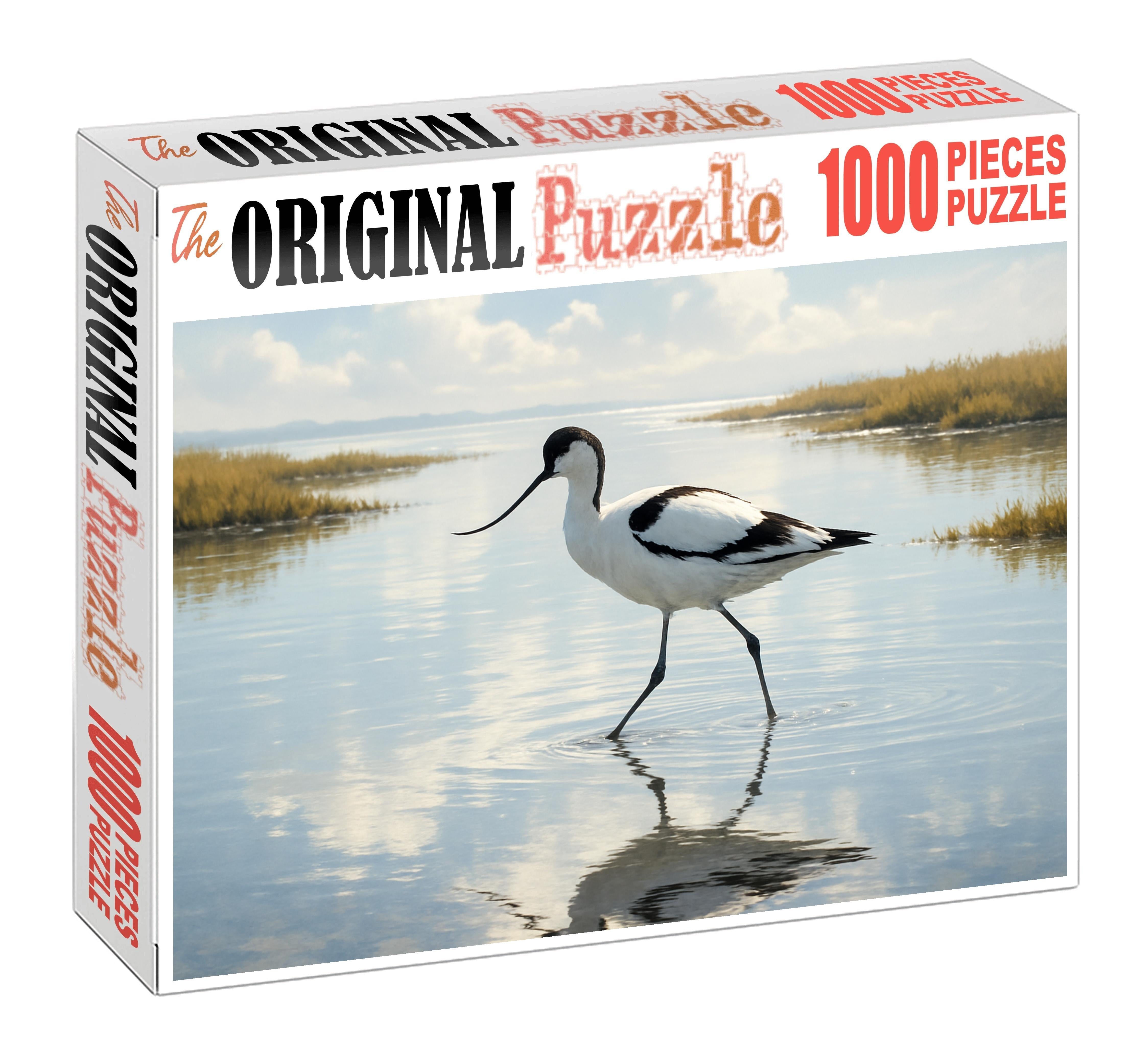 Pied Avocet Graceful Wader Challenging Puzzles