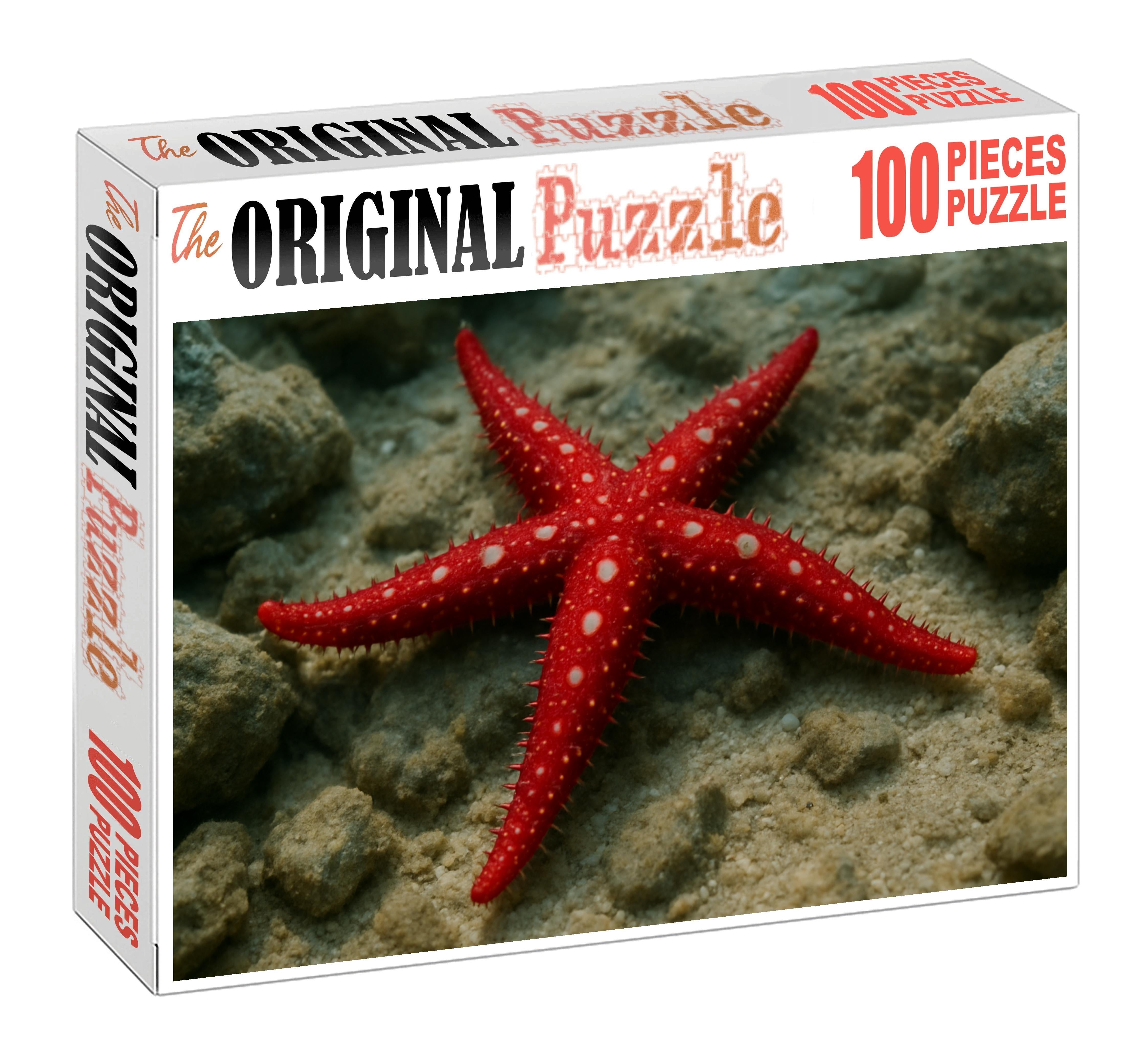 Ruby-spotted Starfish Vibrant Benthic Predator Easy Puzzles
