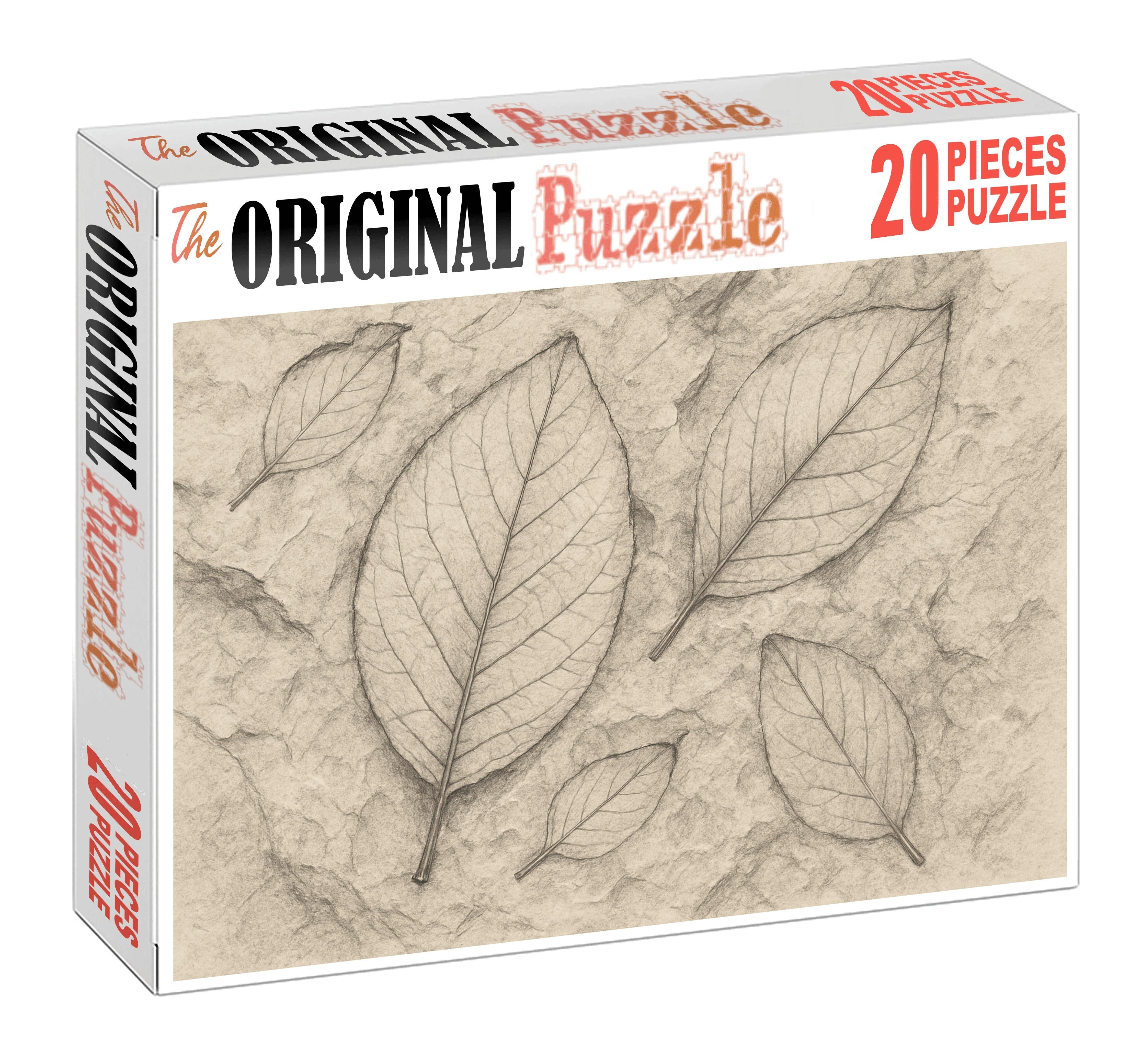 Fossil Imprint Study Graphite And Ink Wash Textural Contrast Puzzle Challenge