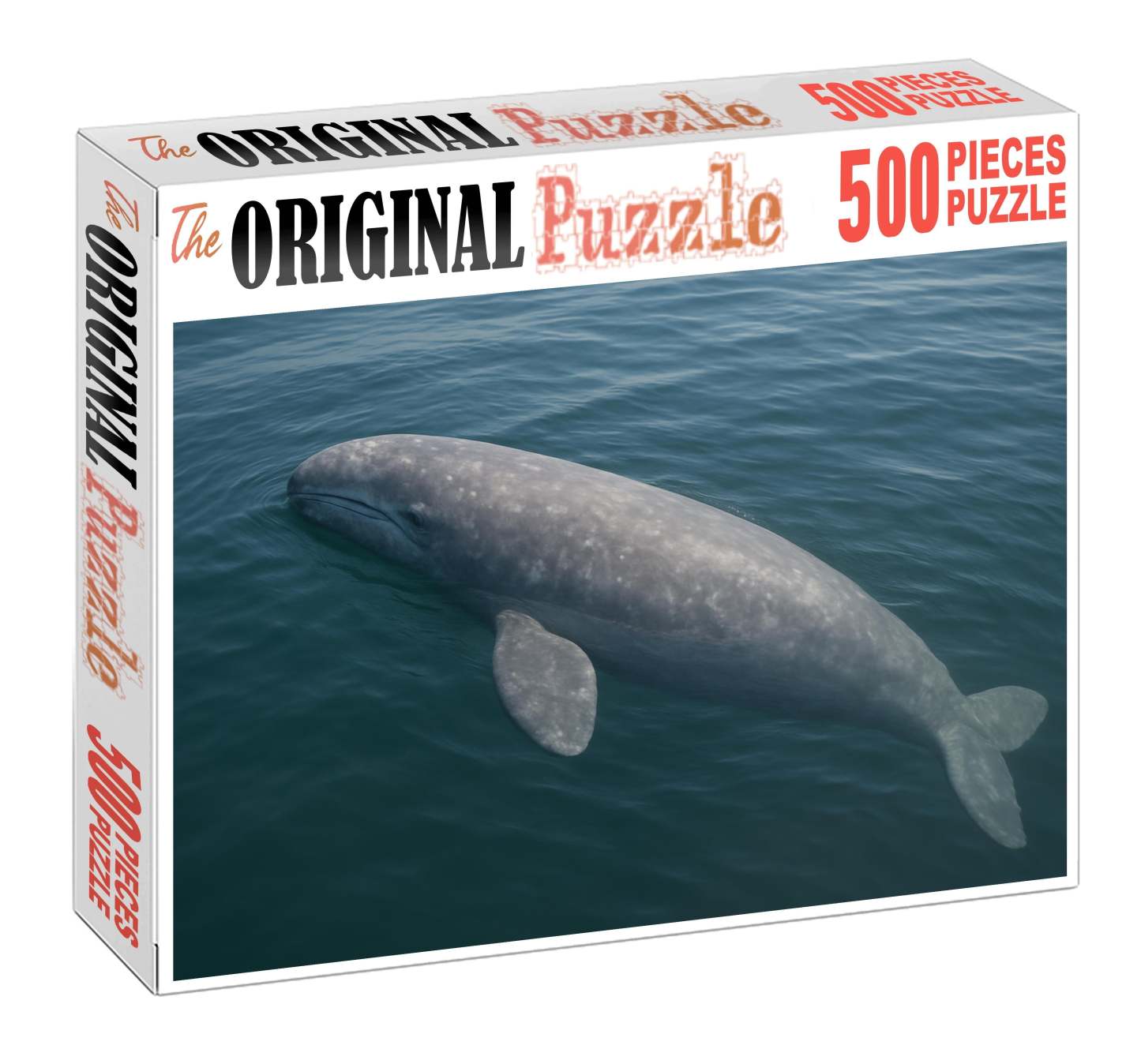 Dusky Fin Whale Calf Gentle Giant In Early Growth Family Puzzles