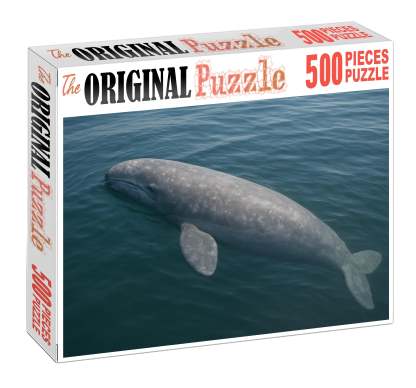 Dusky Fin Whale Calf Gentle Giant In Early Growth Family Puzzles