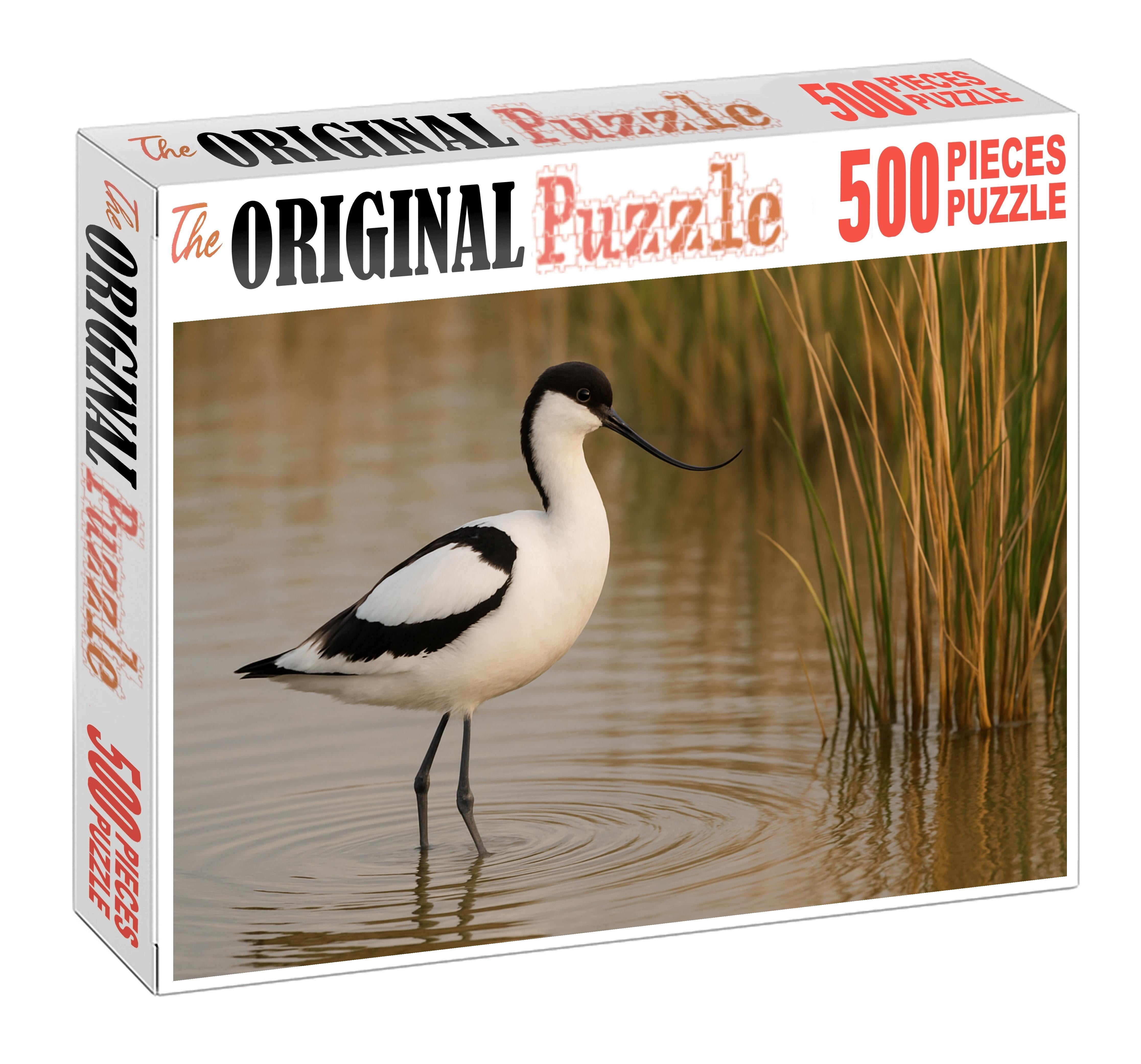 Pied Avocet Elegant Marsh Ballet Easy Puzzles