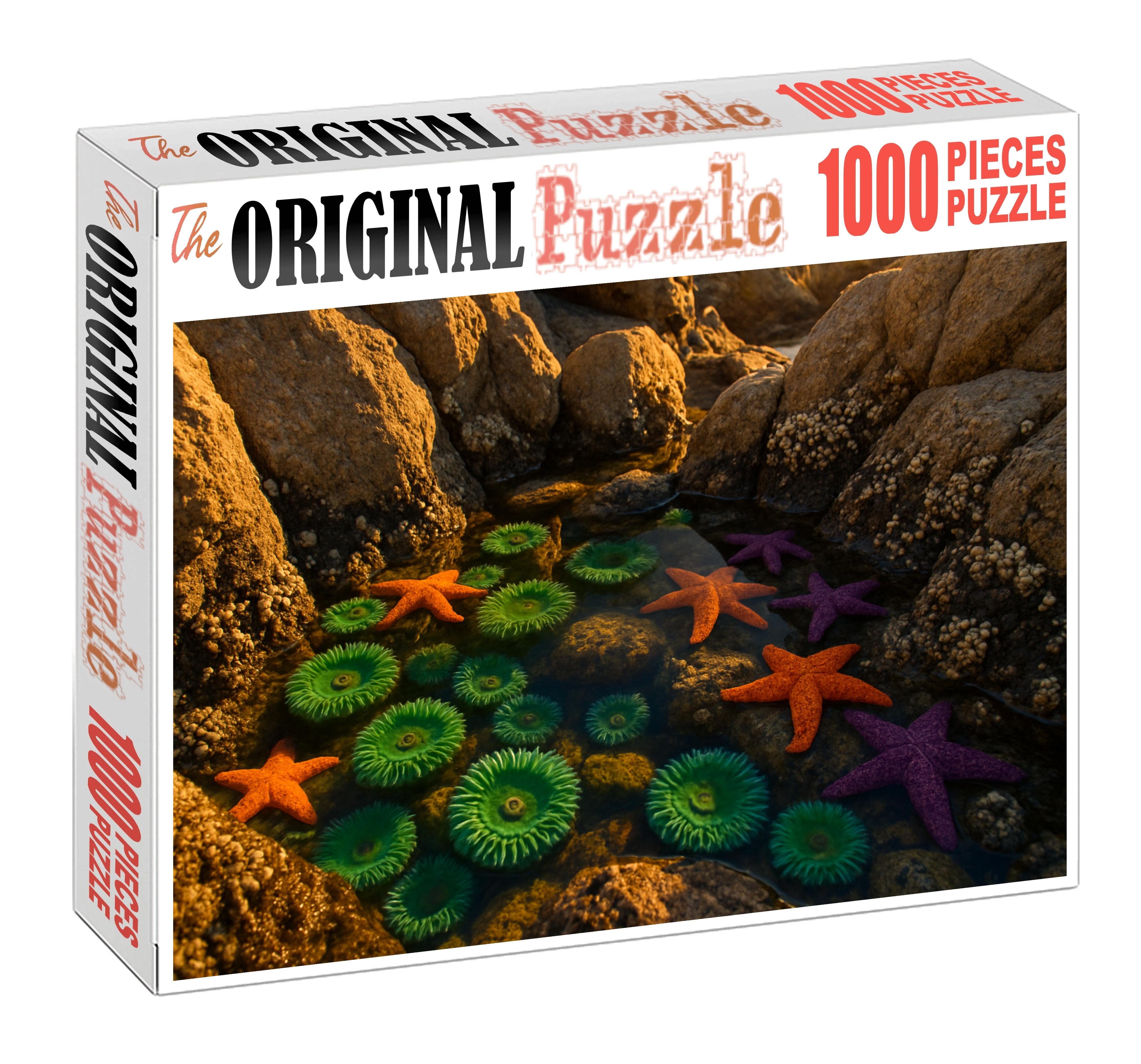 Tidal Granite Pools Rocky Basins Vibrant With Intertidal Life Premium Puzzle Pieces