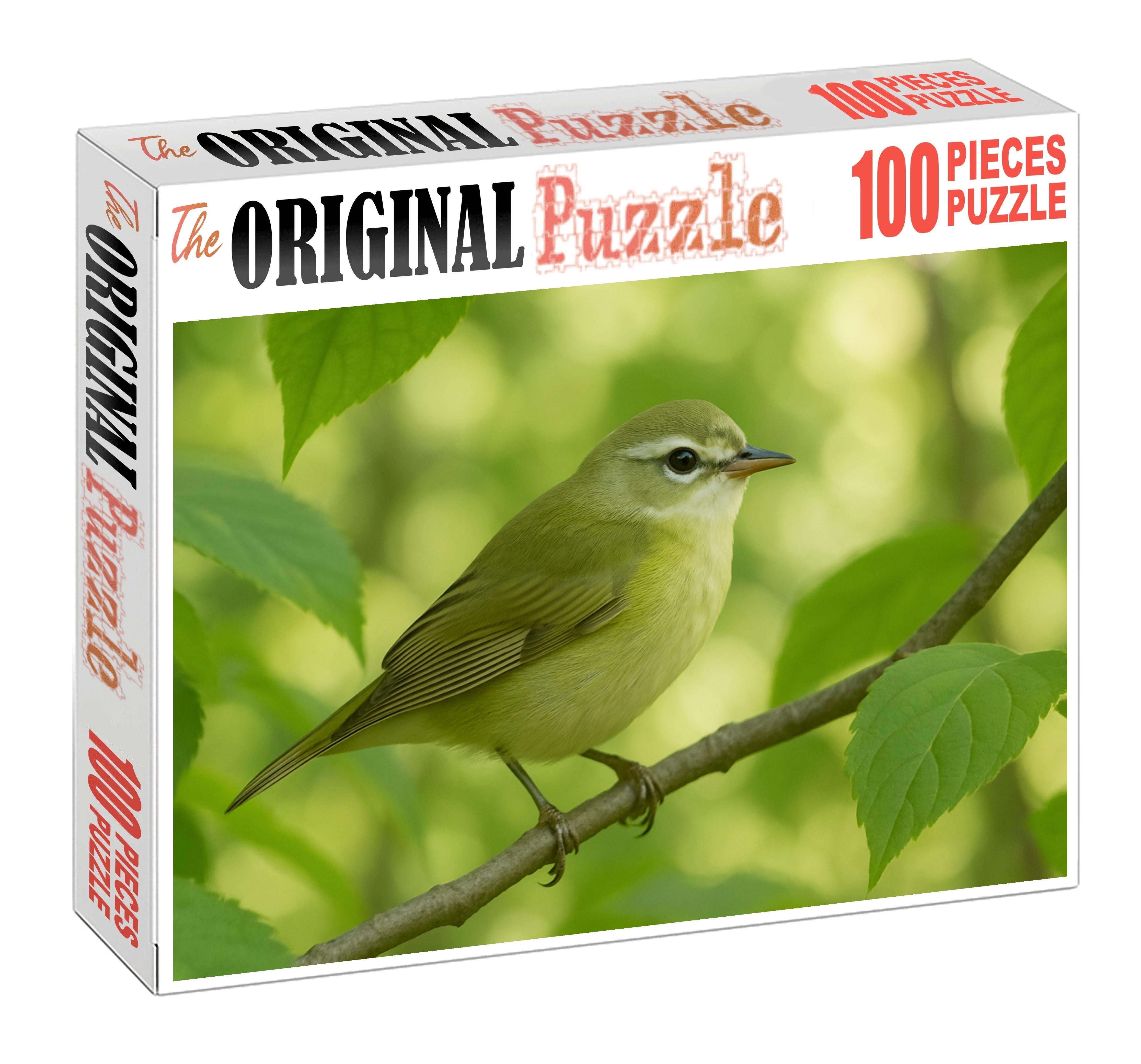 Silver-whiskered Vireo Forests Gentle Songster Challenging Puzzles
