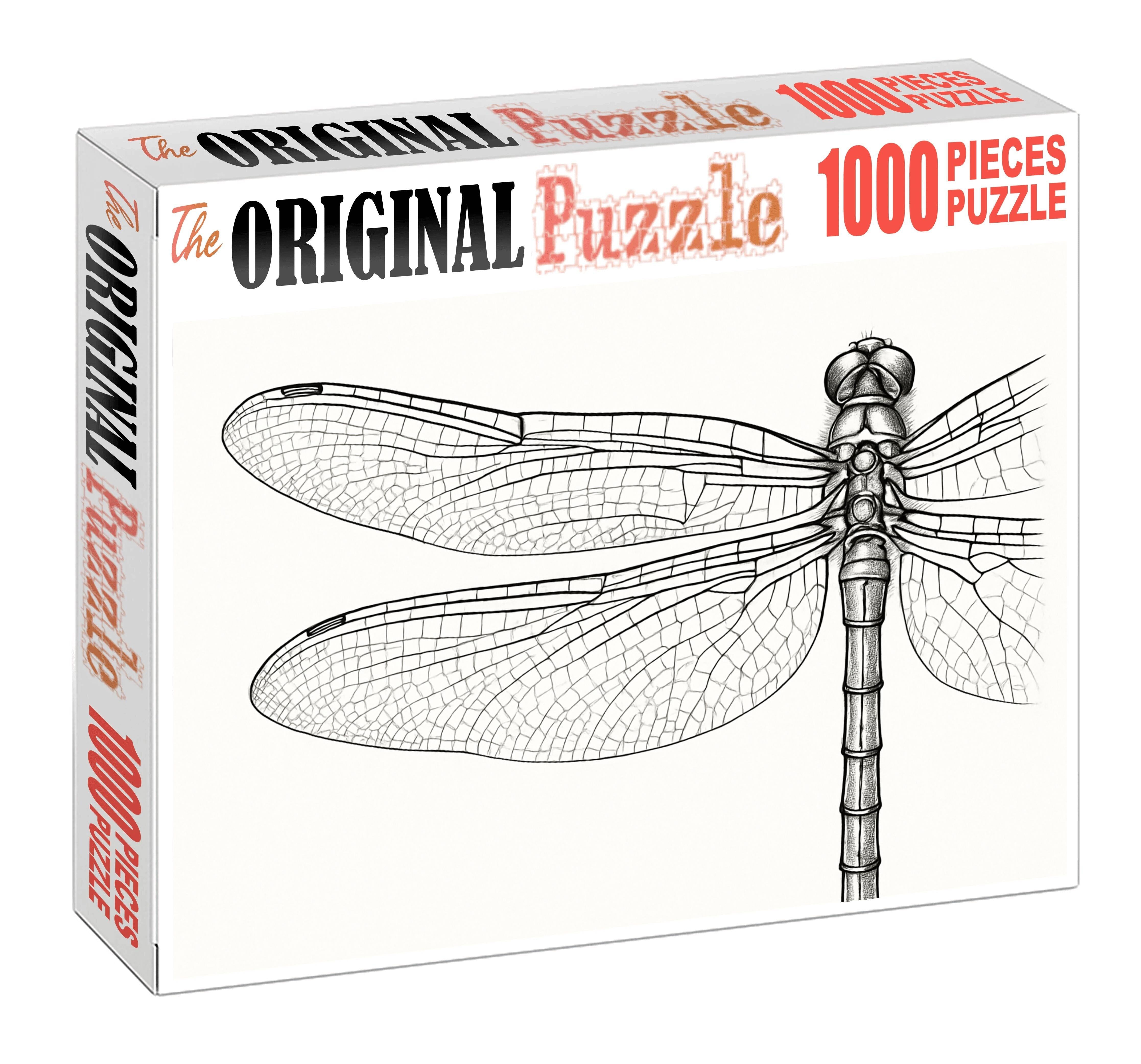 Delicate Insect Anatomy Fine Ink Study Of A Dragonfly Challenging Puzzles