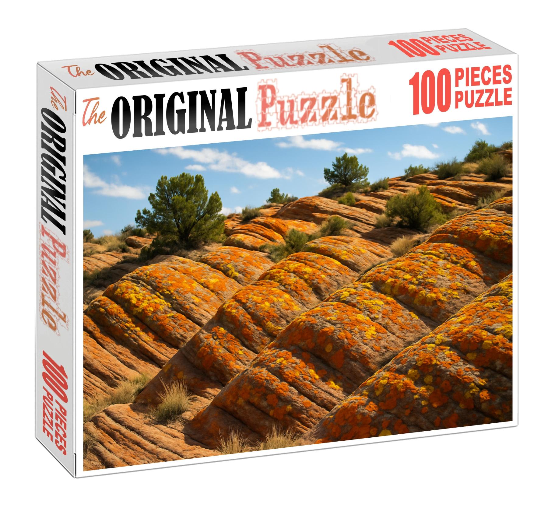Amber Lichen Heights Puzzle Challenge
