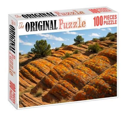 Amber Lichen Heights Puzzle Challenge