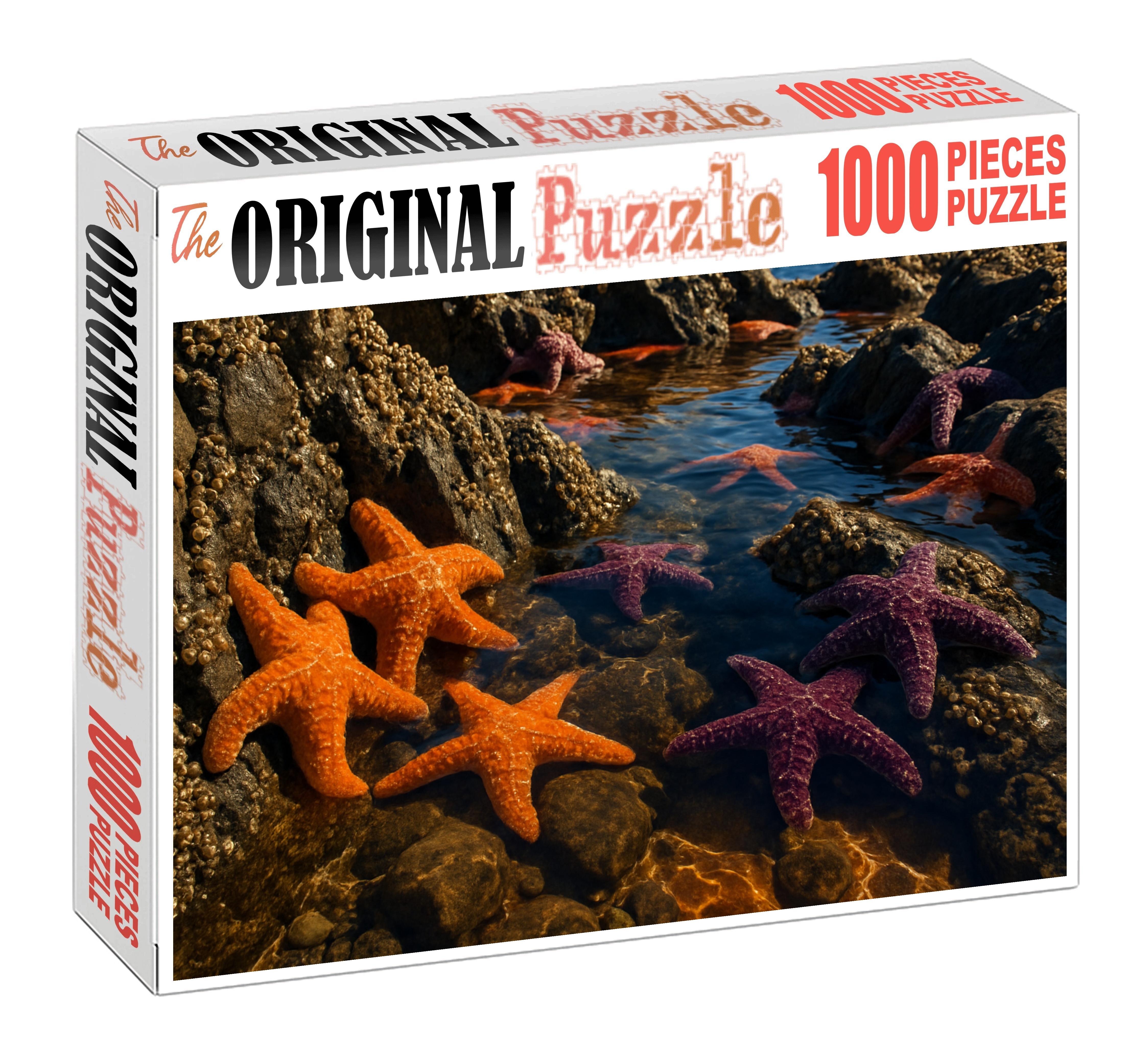 Golden Tide Pools Sun-warmed Rocky Basins Brimming With Life Challenging Puzzles