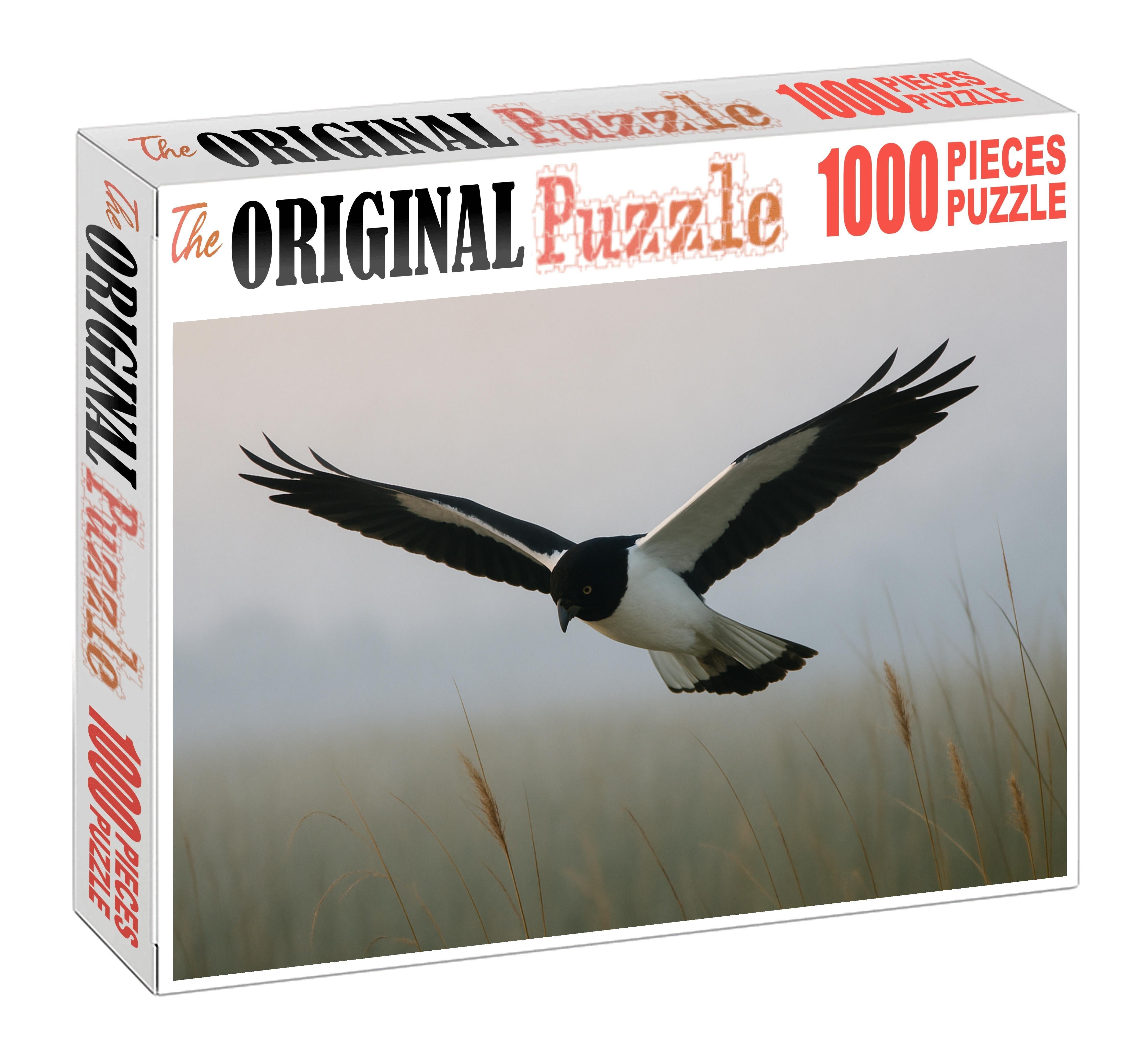 Pied Harrier Graceful Marshland Hunter Puzzle Fun