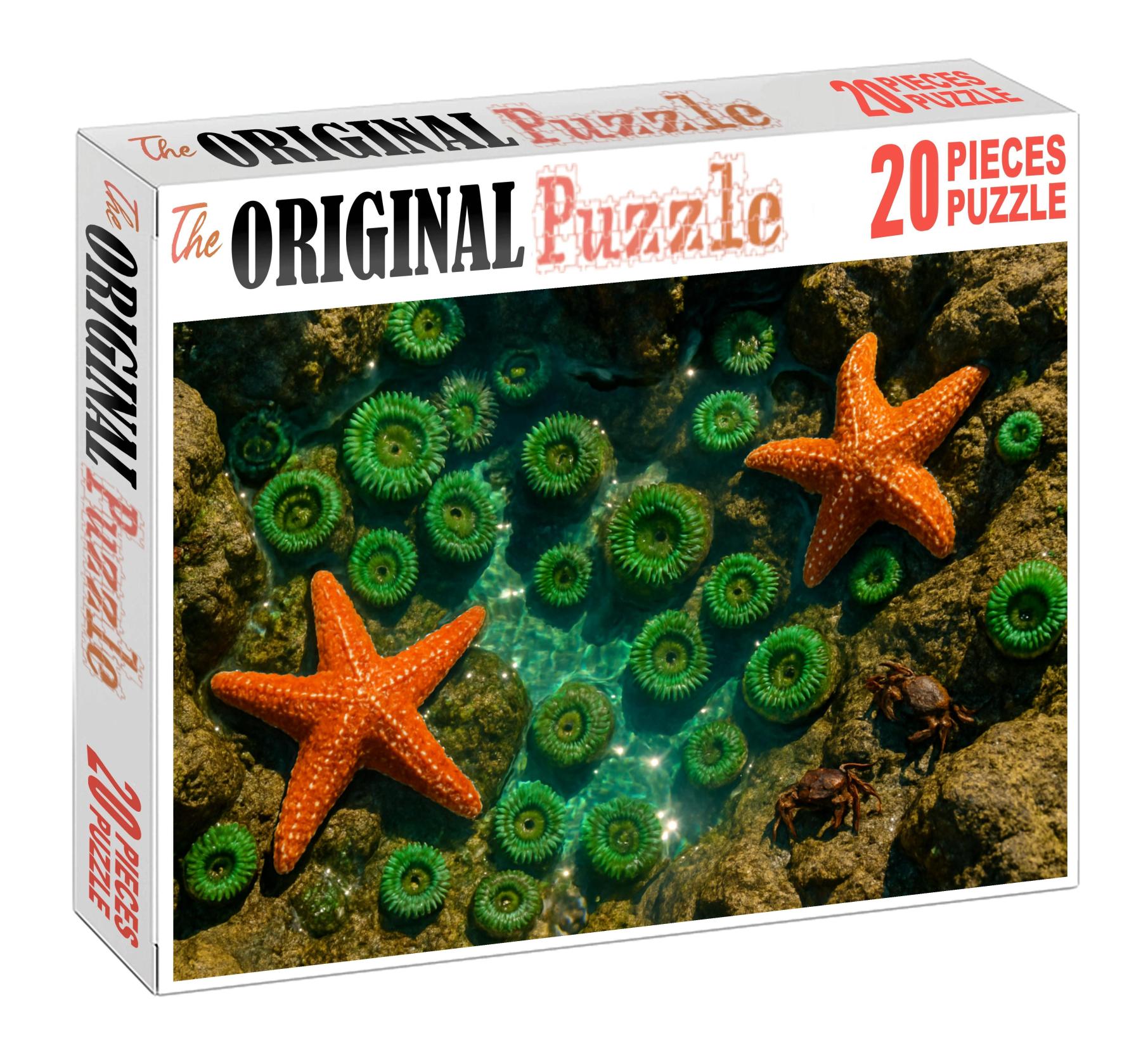 Ivory Tide Pools Custom Jigsaw Puzzle