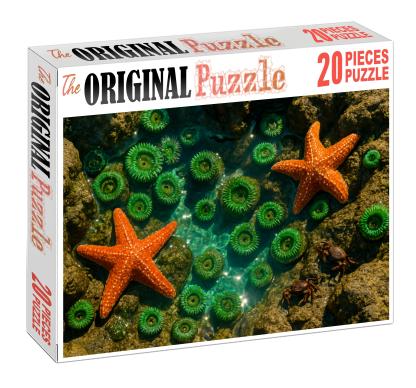 Ivory Tide Pools Custom Jigsaw Puzzle