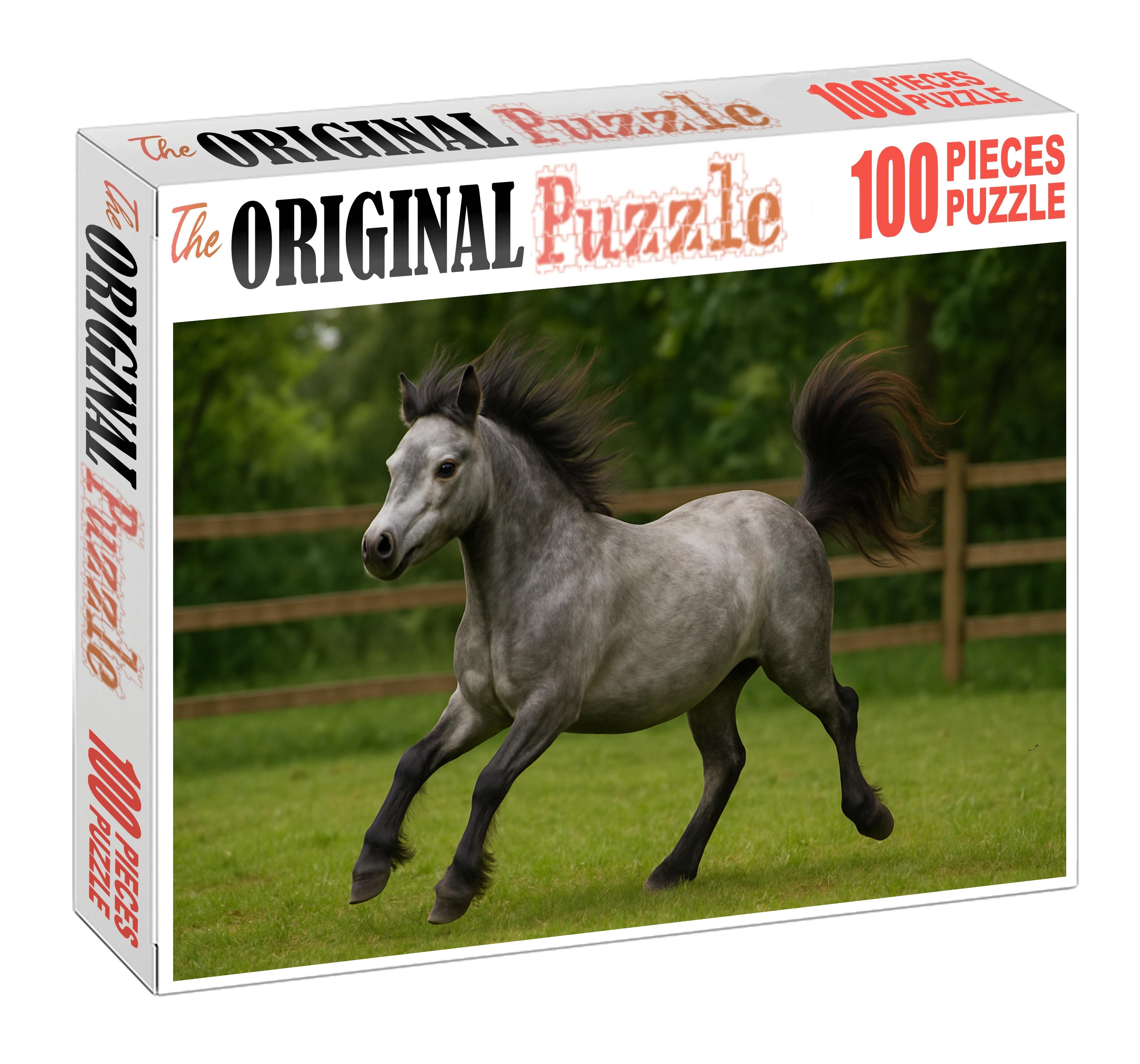 Silver Frost Pony Petite Gray Pony With Lively Expression And Quick Movements Easy Puzzles