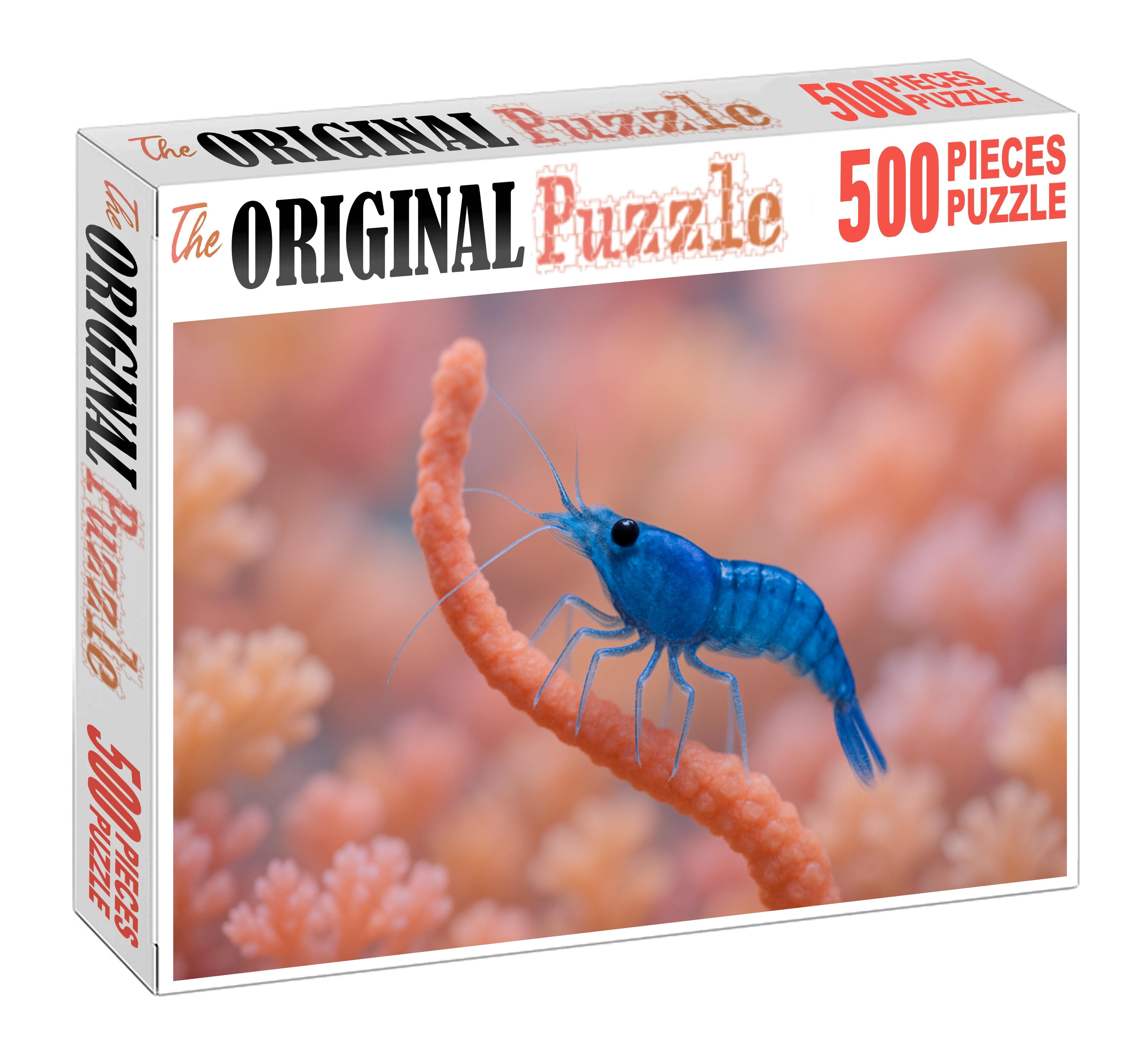Sapphire Reef Shrimp Delicate Filter-feeder With Translucent Appendages Easy Puzzles