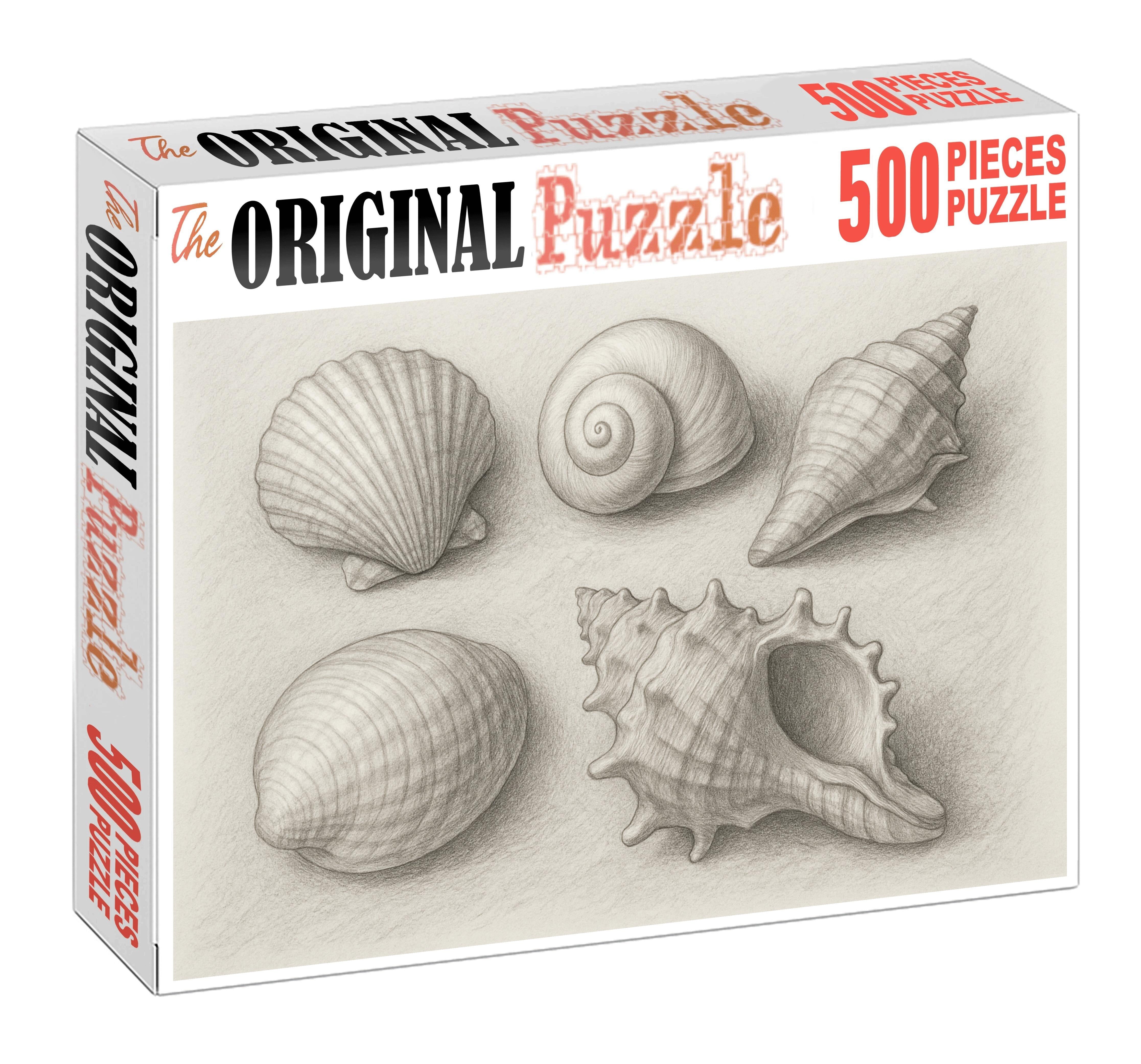 Seaside Shell Collection Textured Pencil Study With Tonal Gradients Challenging Puzzles