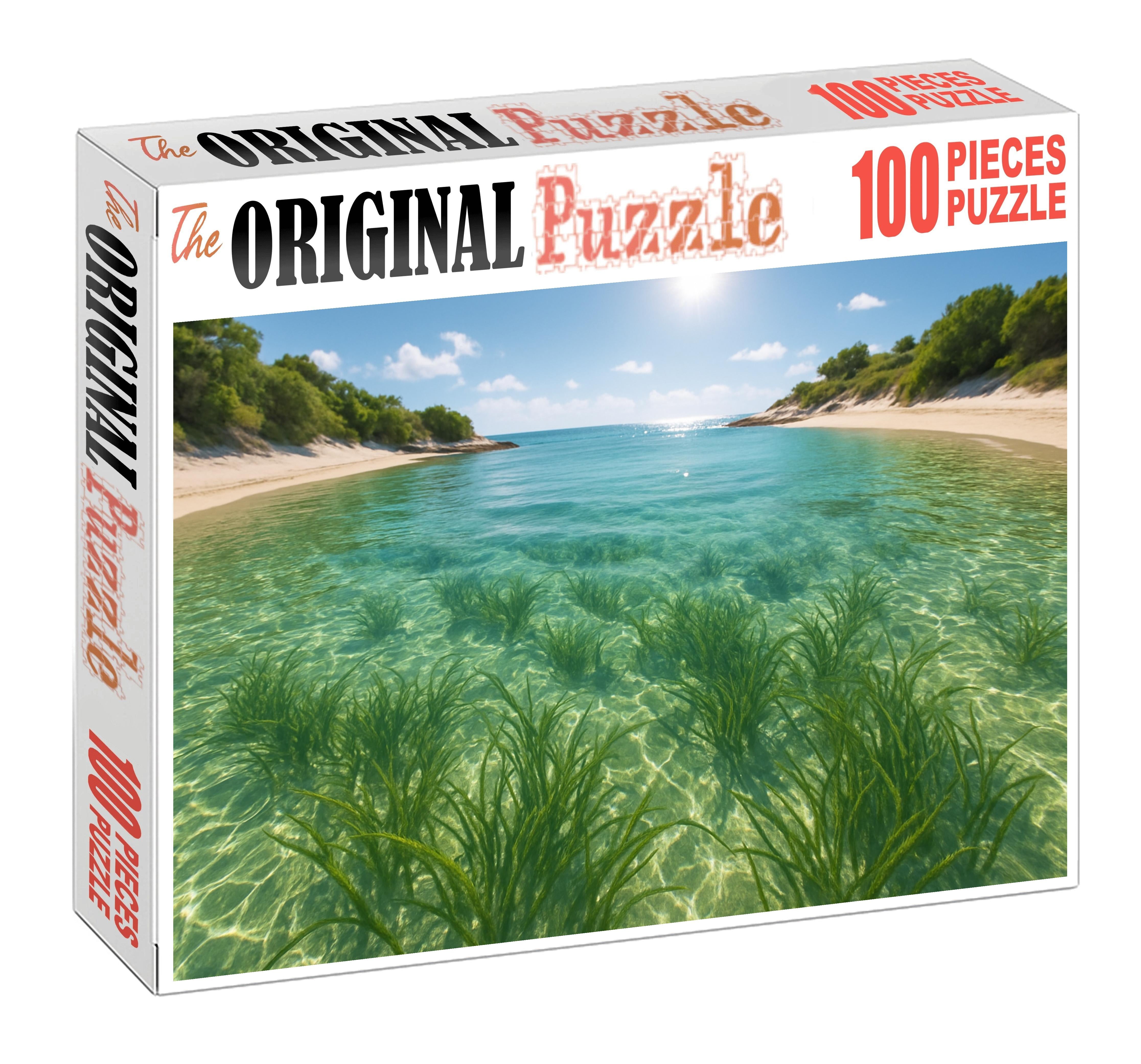 Seagrass Bay Refuge Puzzle Challenge