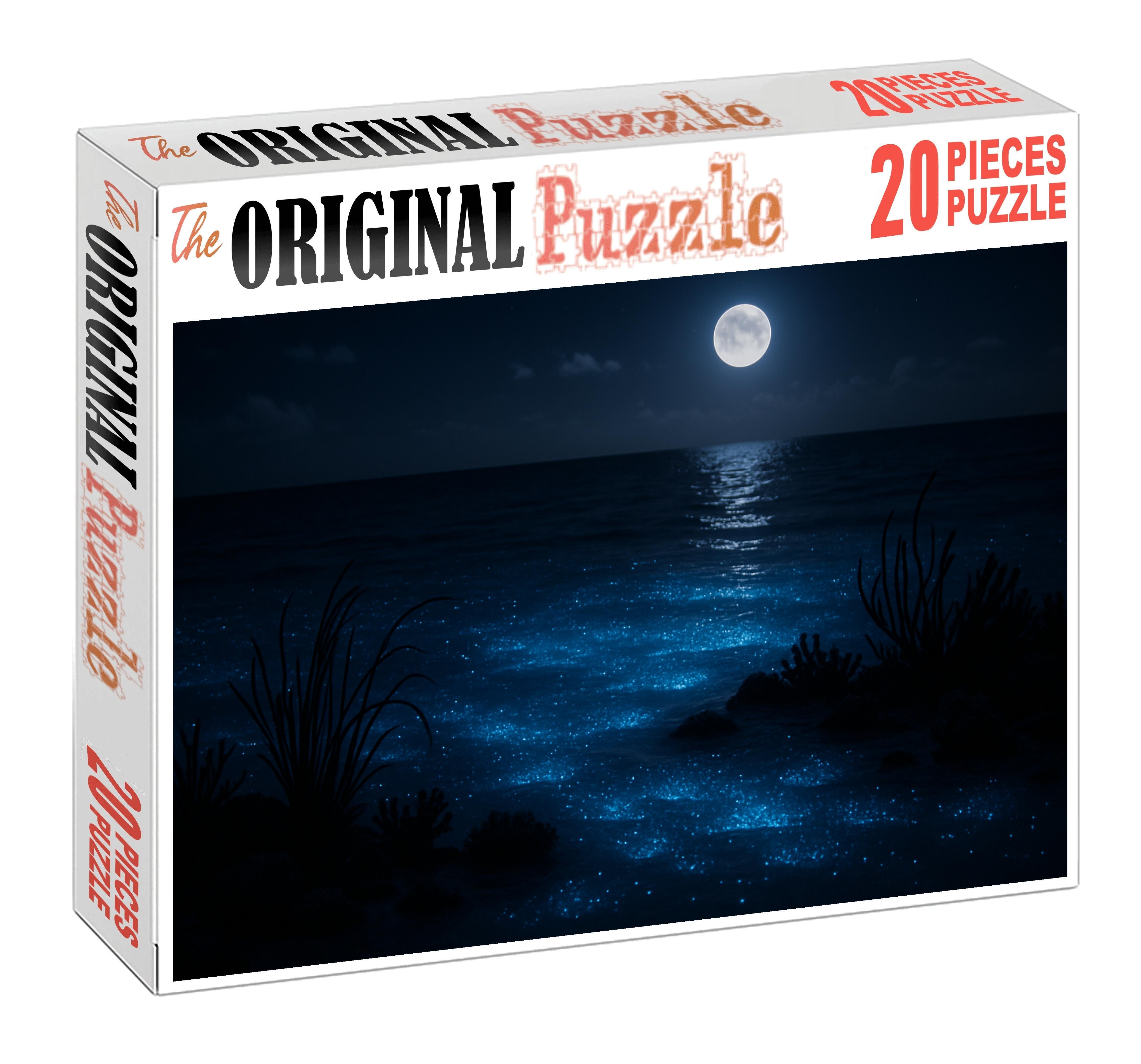 Moonshadow Lagoon Puzzle Challenge