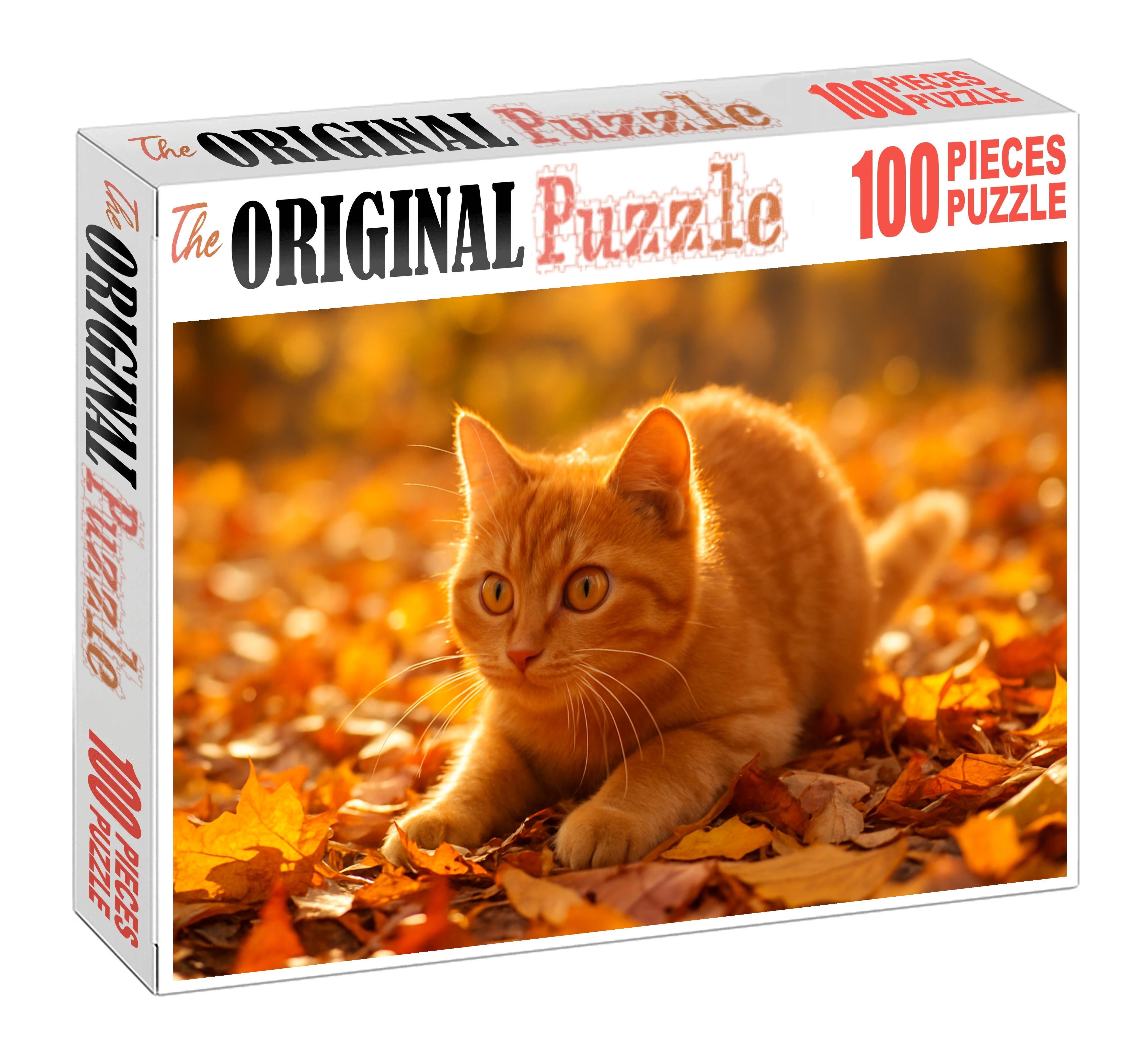 Golden Glimmer Shimmering Yellow-orange Shorthair With Playful Heart Challenging Puzzles