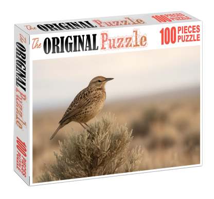Sage Thrasher The Desert Song Specialist Puzzle Challenge