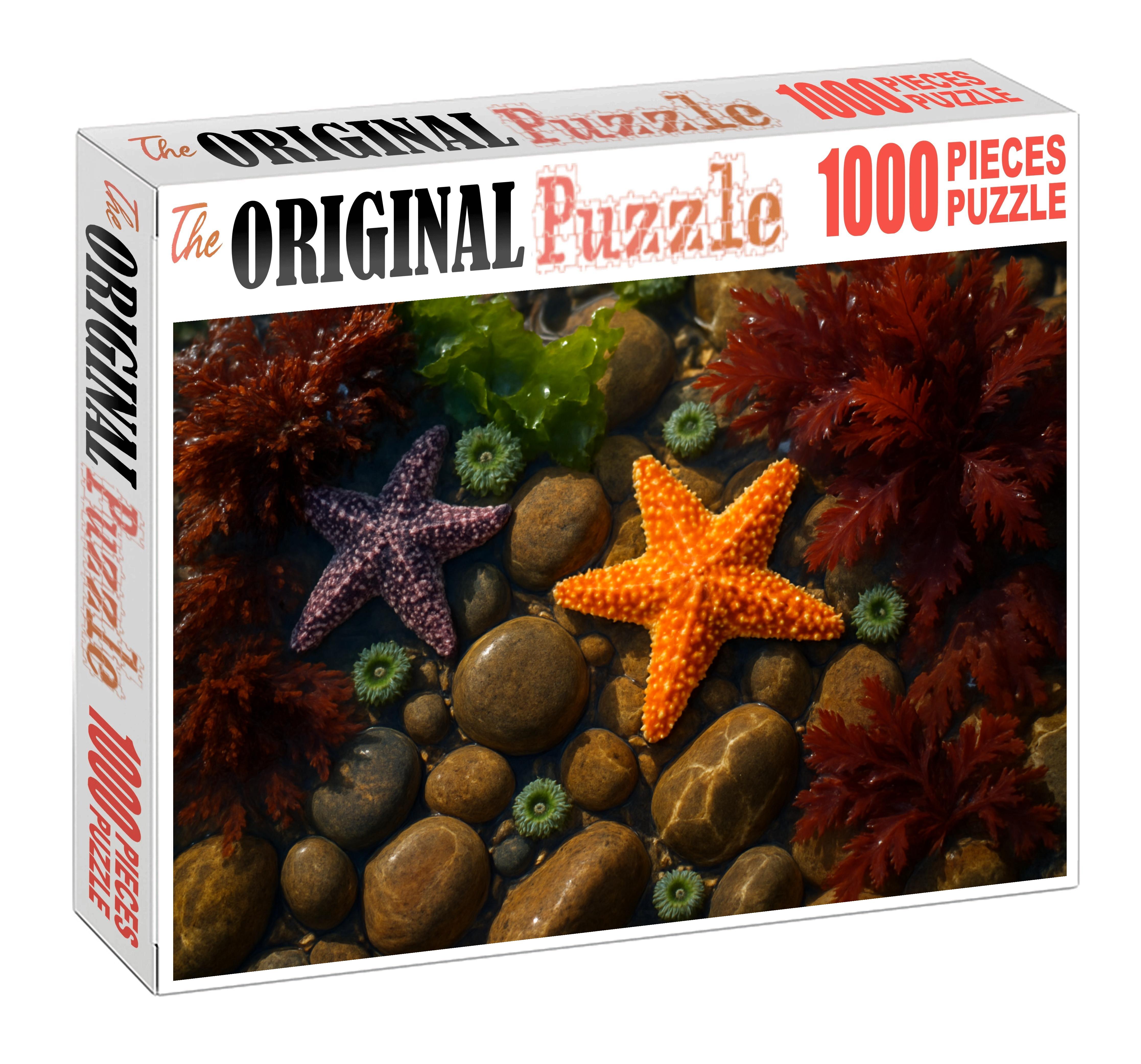 Glistening Tidepool Mosaic Microcosm Of Rocky Intertidal Life 20 Piece Puzzle
