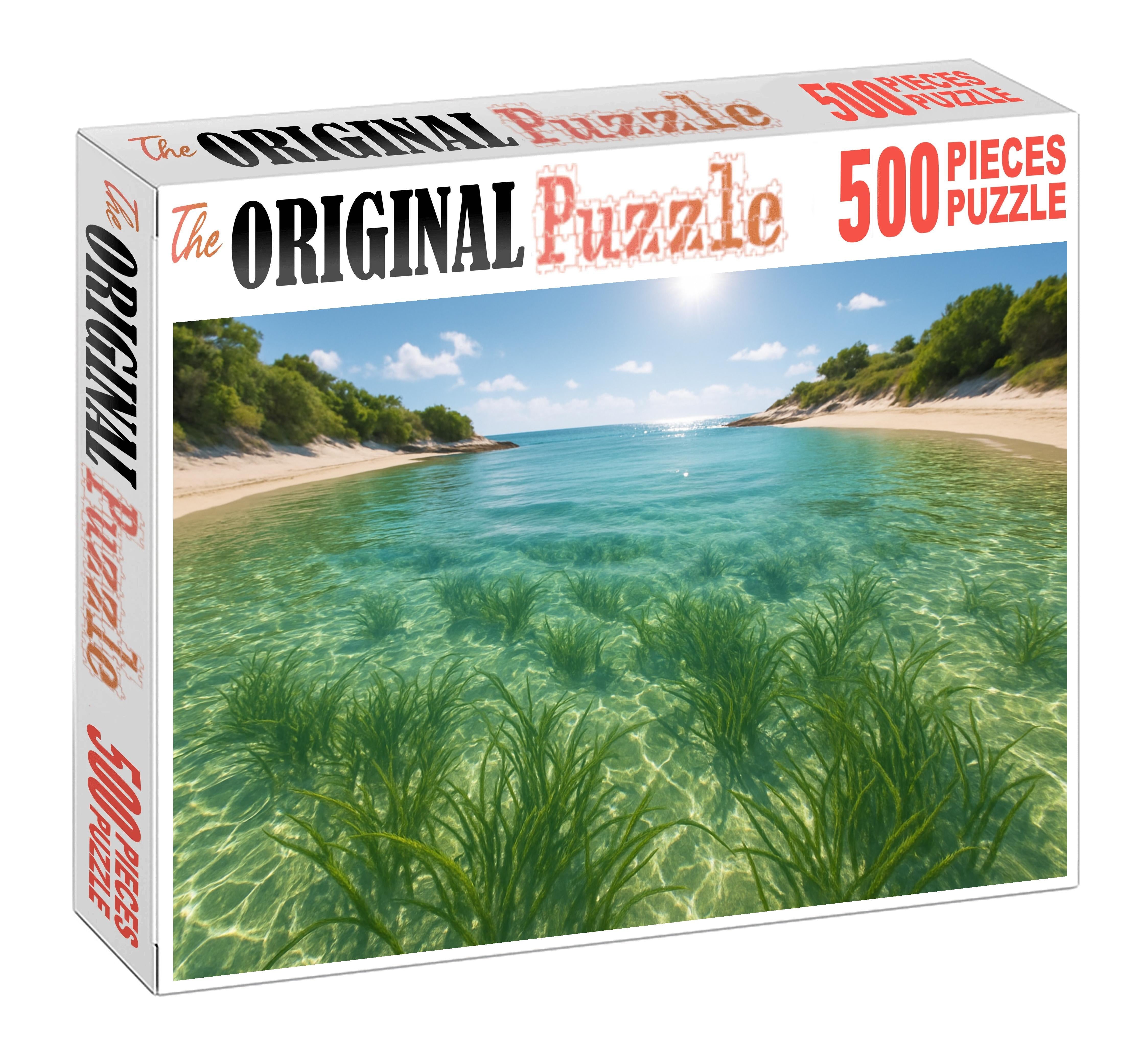 Seagrass Bay Refuge Puzzle Challenge