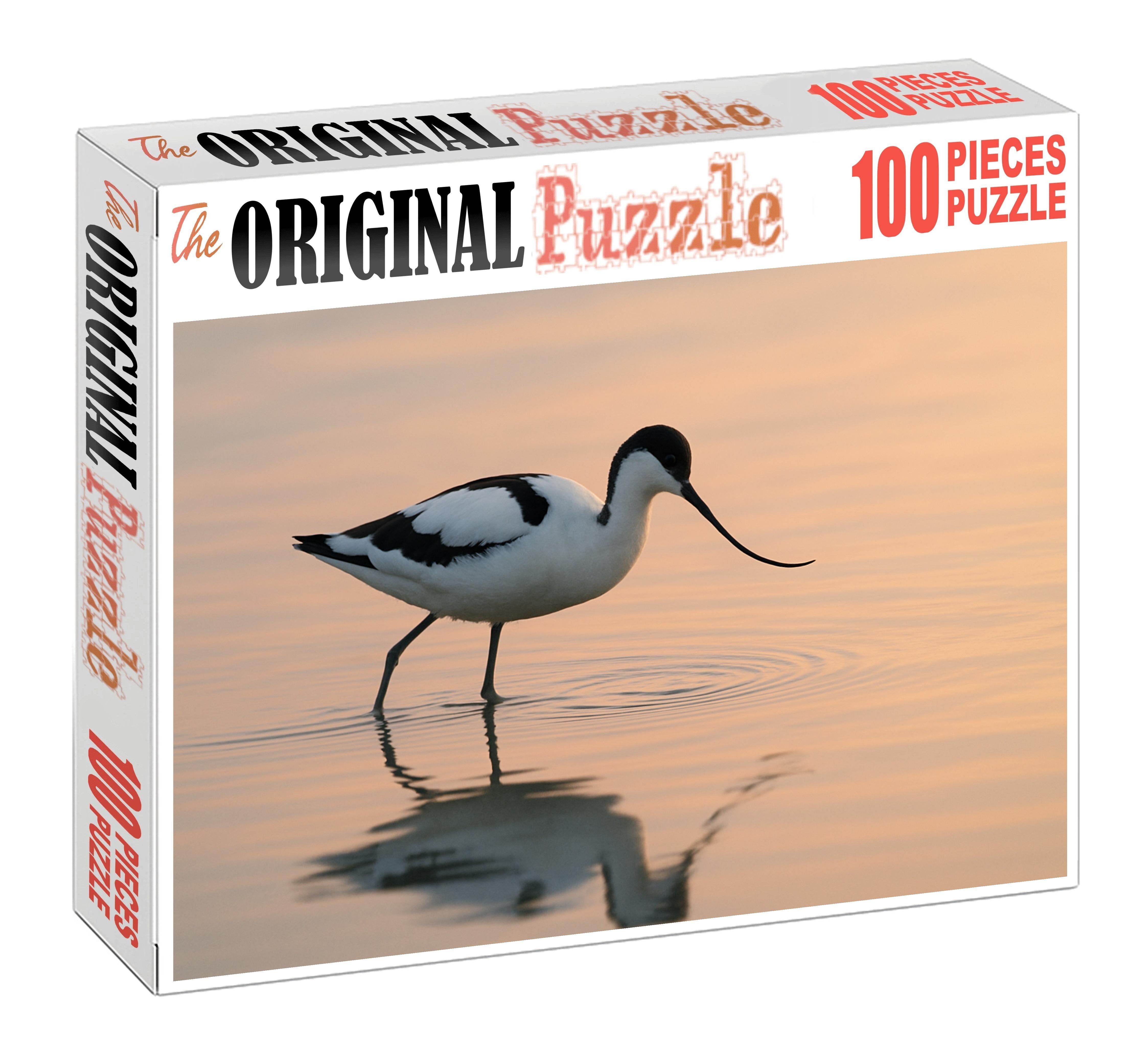 Pied Avocet Graceful Wader Of Shallow Waters Family Puzzles