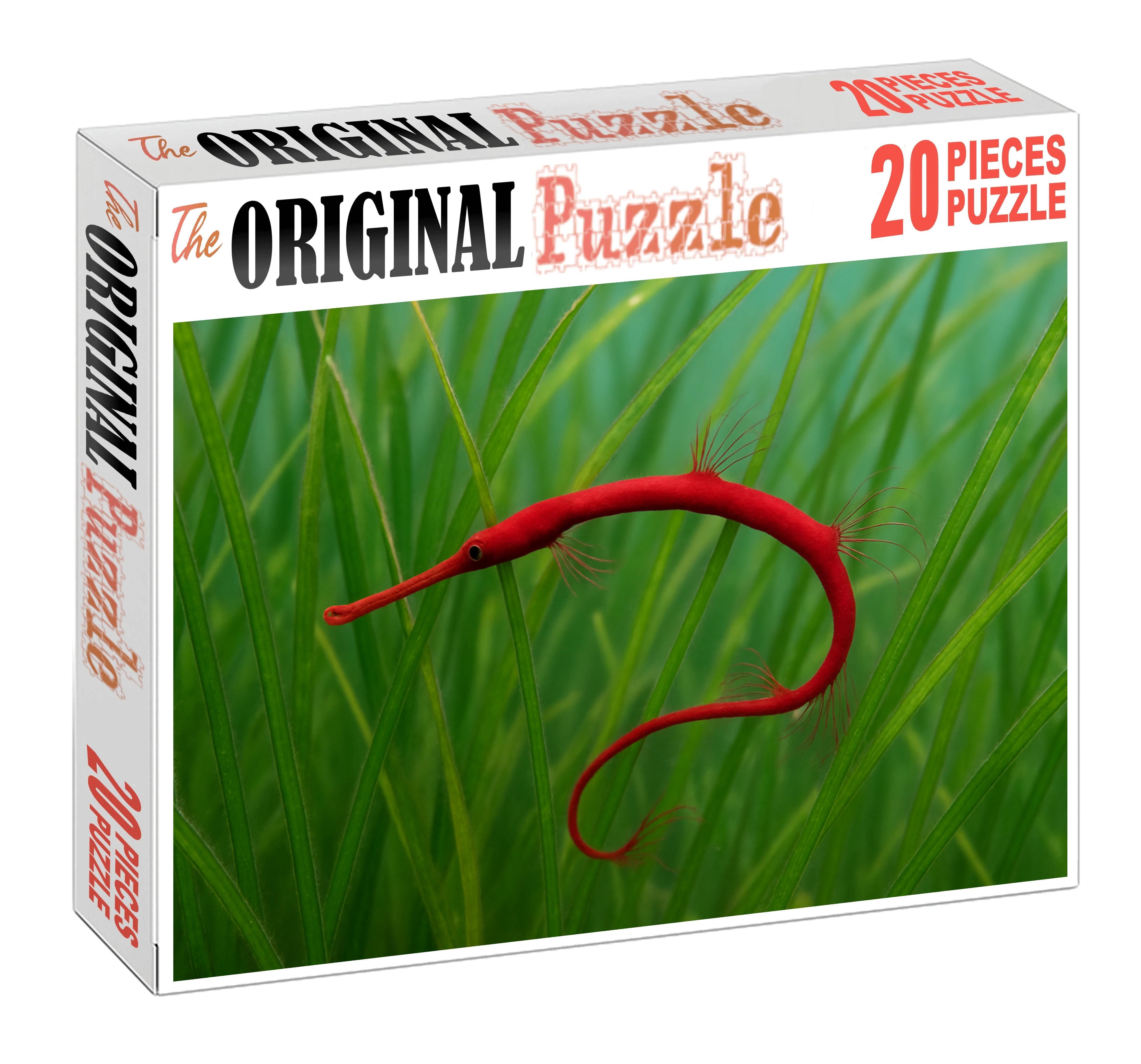 Crimson Threadfin Pipefish Slender Camouflaged Fish With Elongated Fins Mini Puzzle