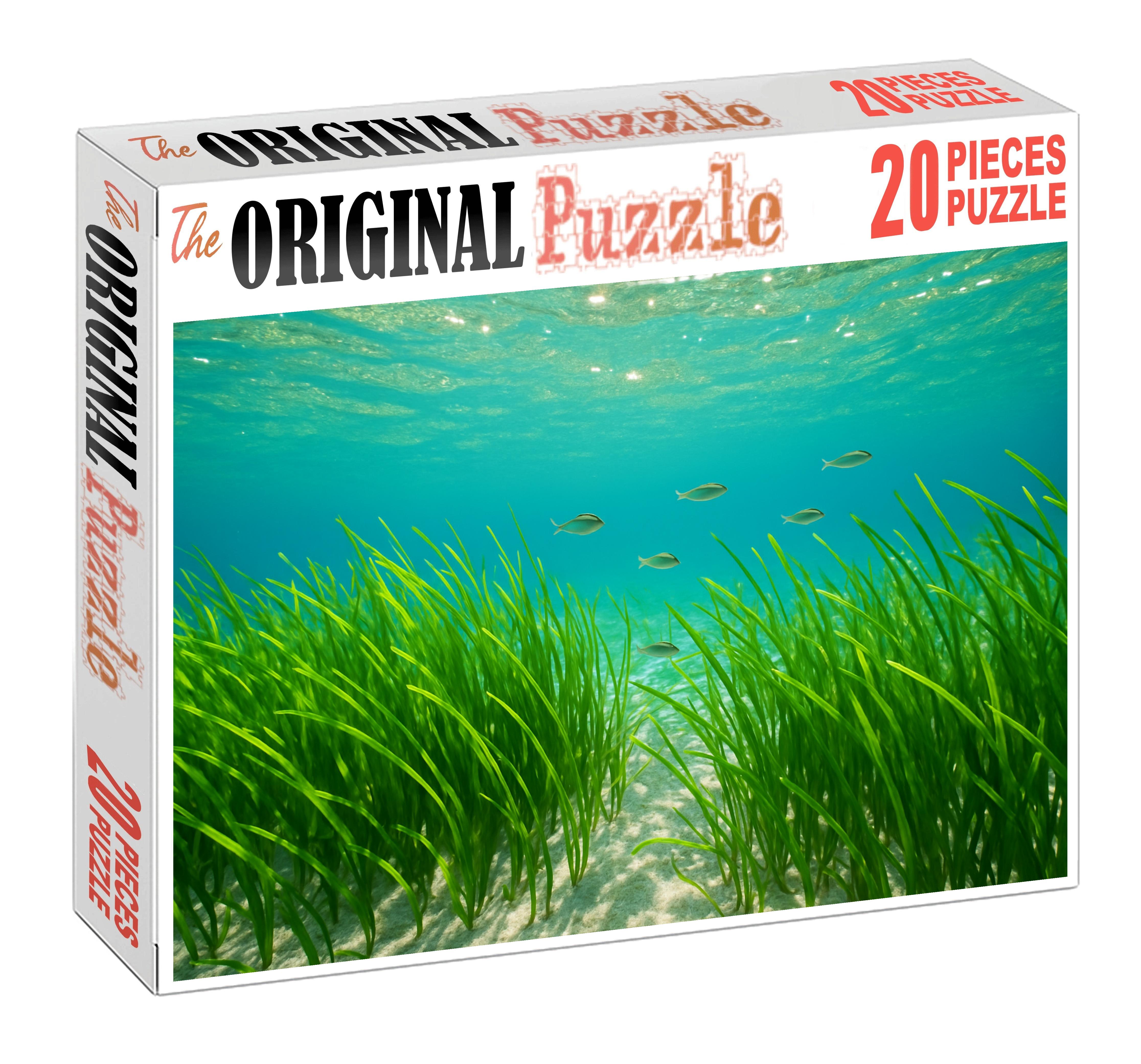 Emerald Seagrass Meadow 300 Piece Puzzle