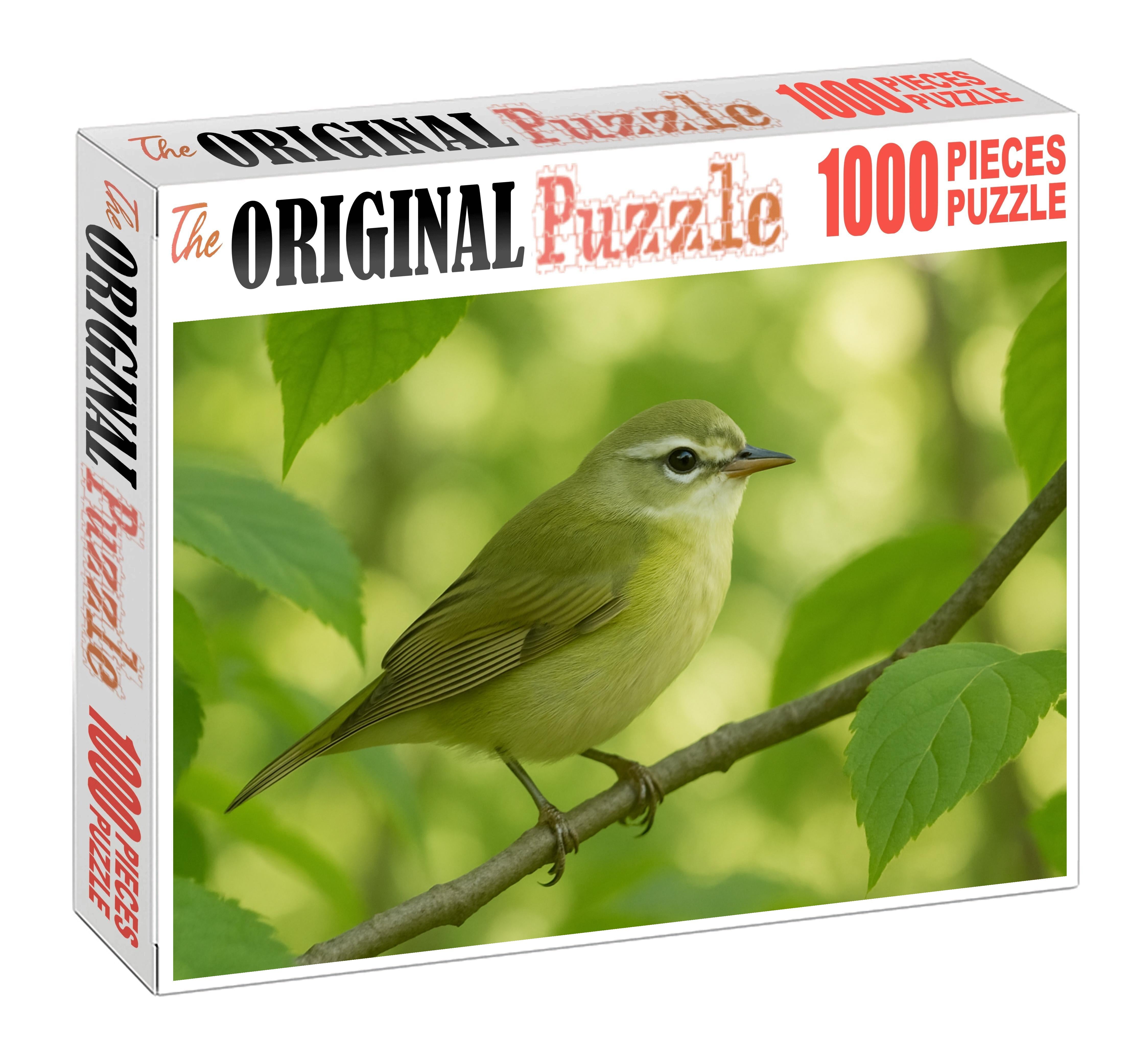 Silver-whiskered Vireo Forests Gentle Songster Challenging Puzzles