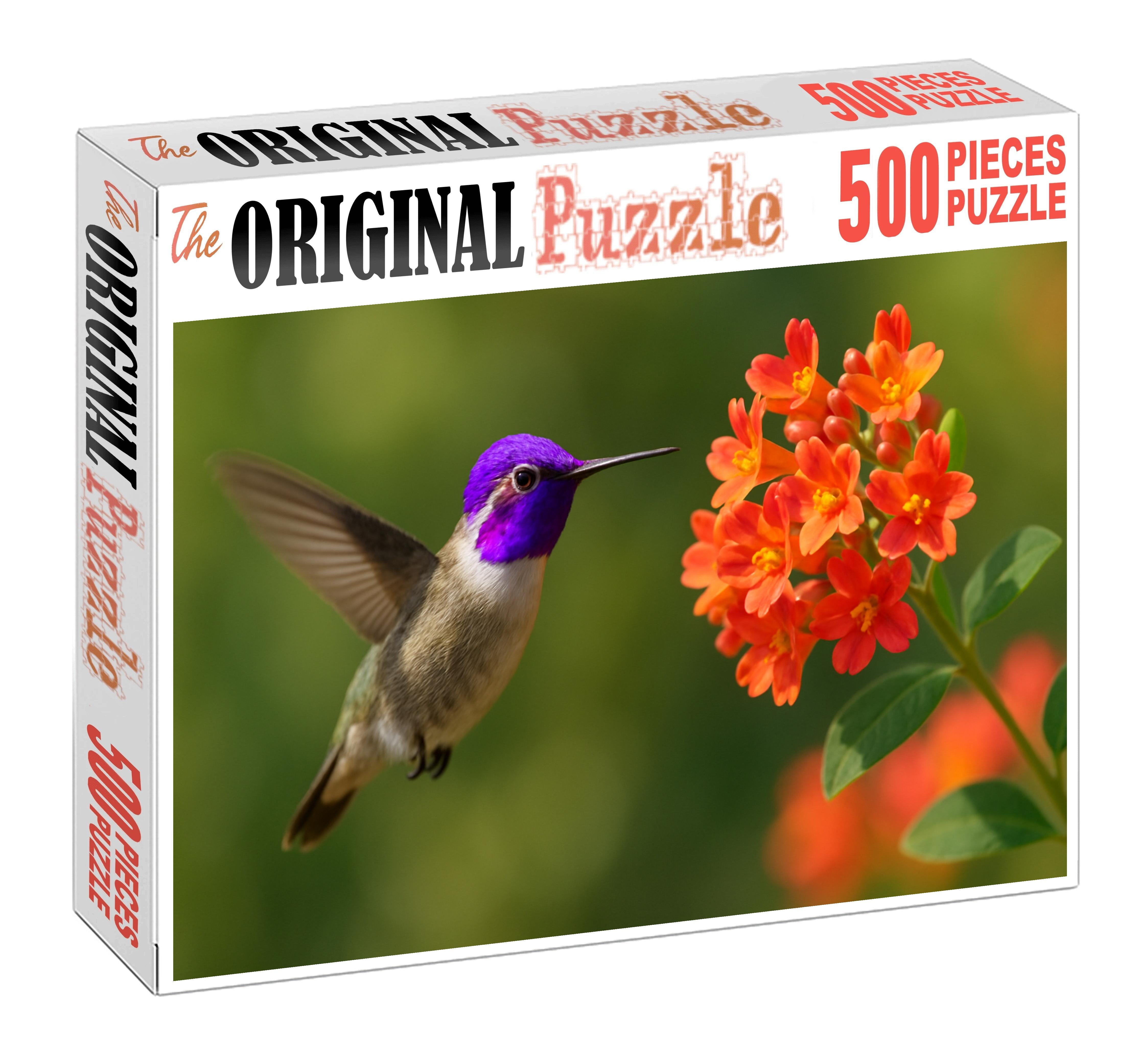 Violet-crowned Hummingbird A Hovering Gem Challenging Puzzles