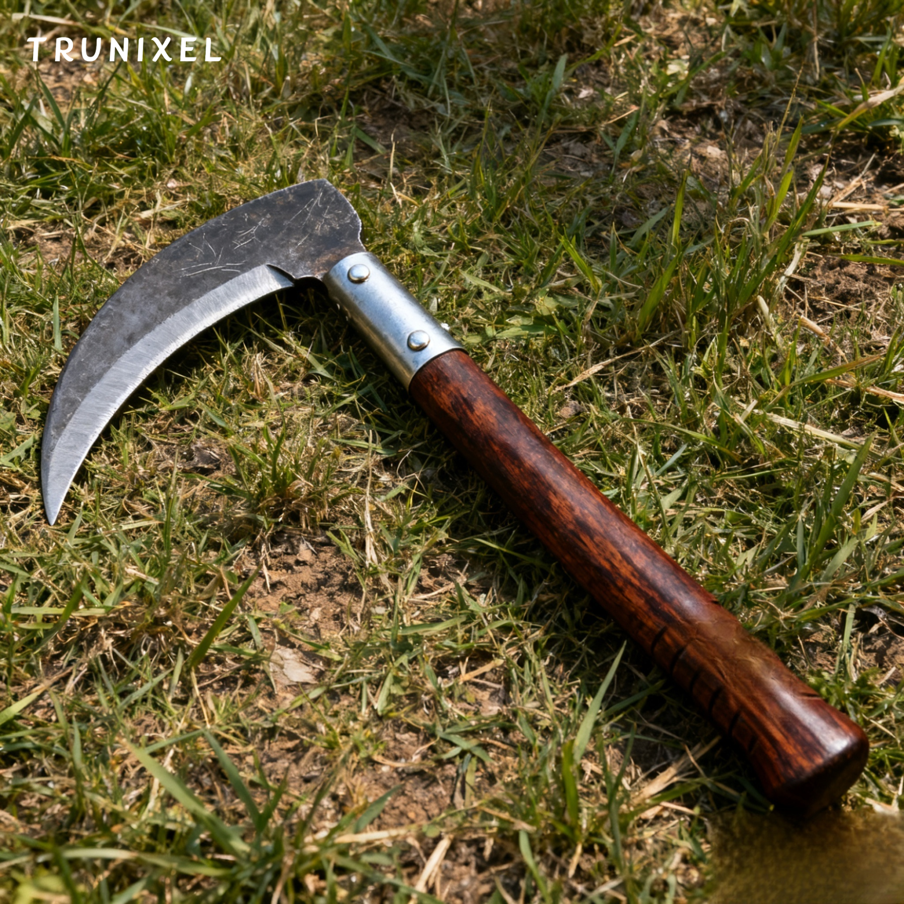 Différentes spécifications de faucilles agricoles